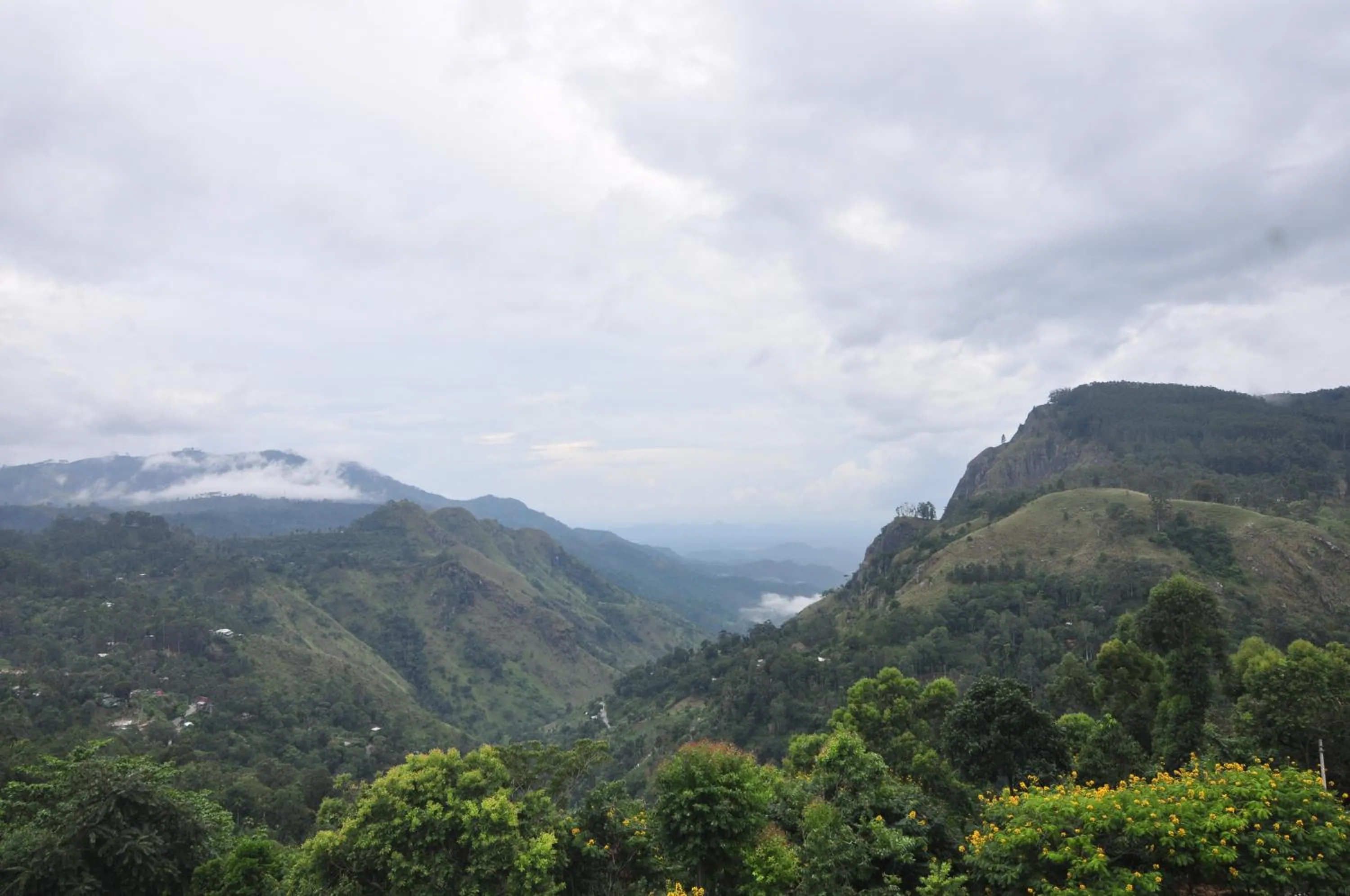 Natural landscape in Hotel Country Comfort