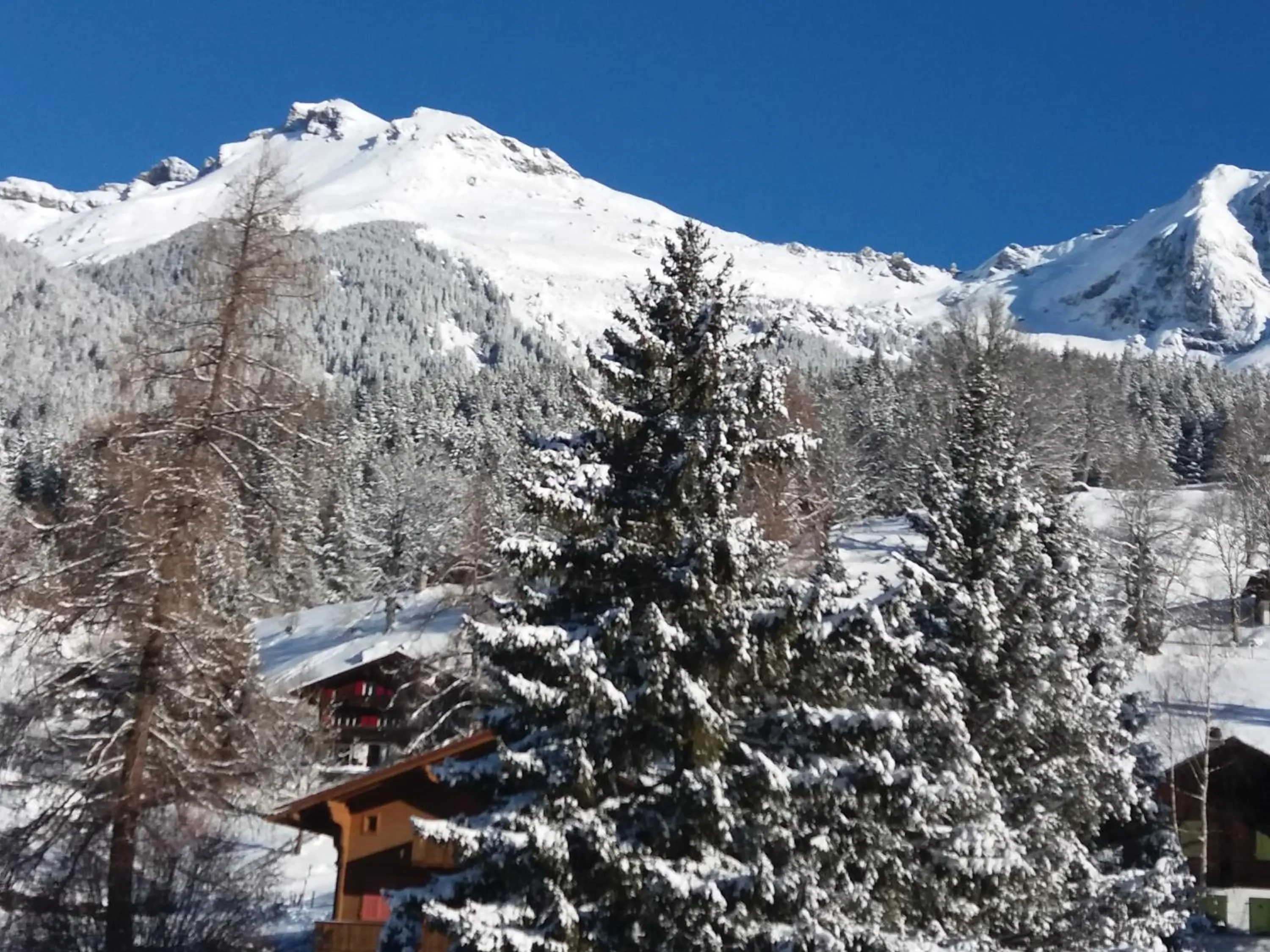 Mountain view in Chalet uf em Stutz 1