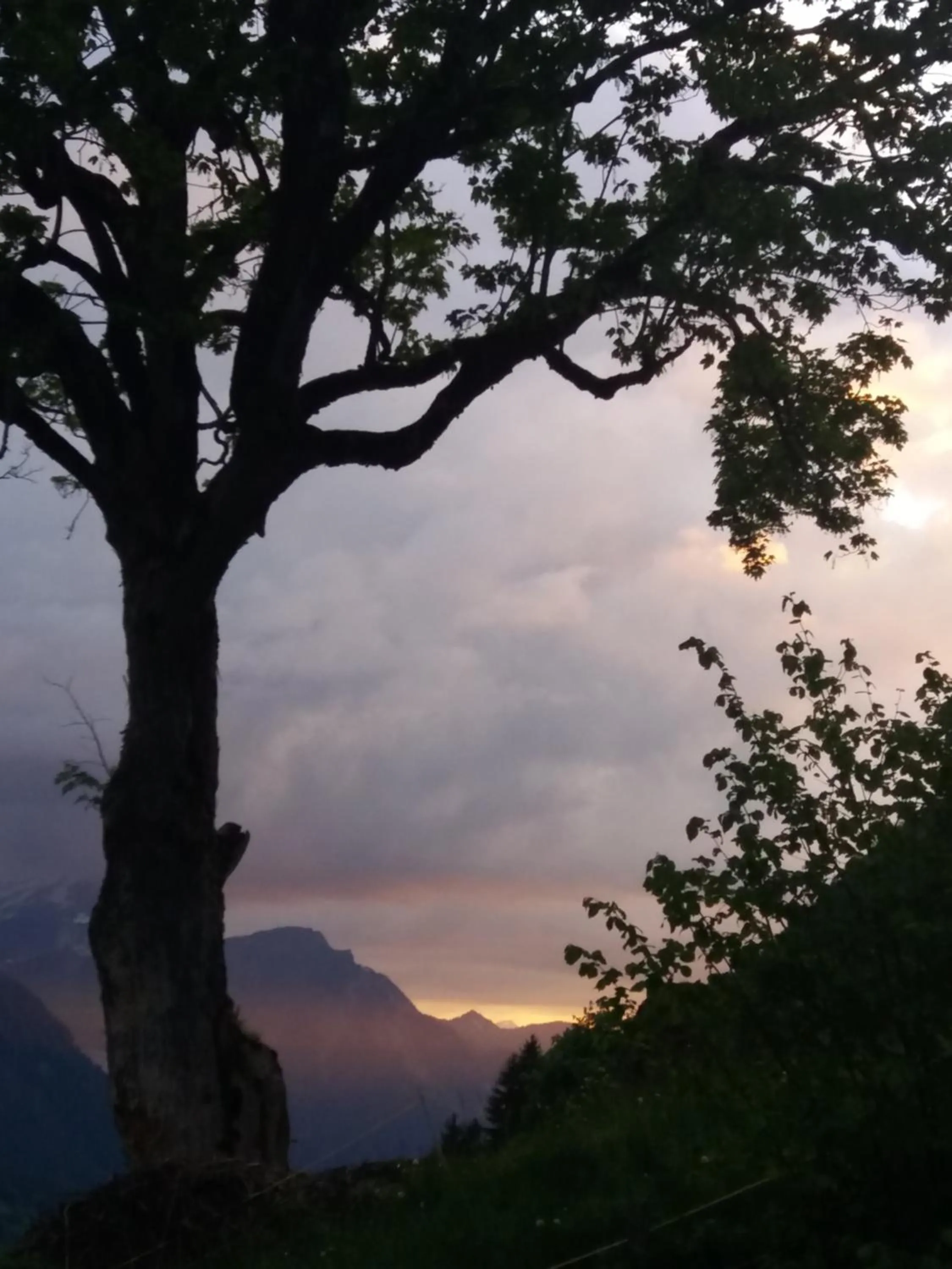 Natural landscape in Chalet uf em Stutz 1