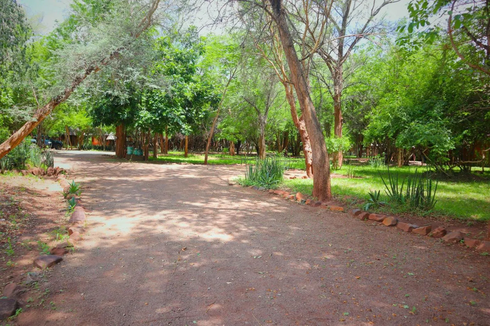 Natural landscape in Munga Eco-Lodge