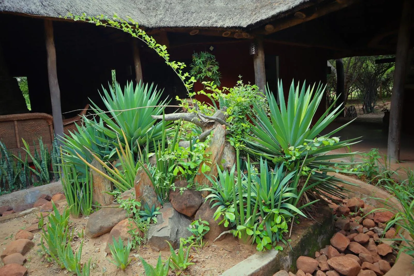 Garden view in Munga Eco-Lodge