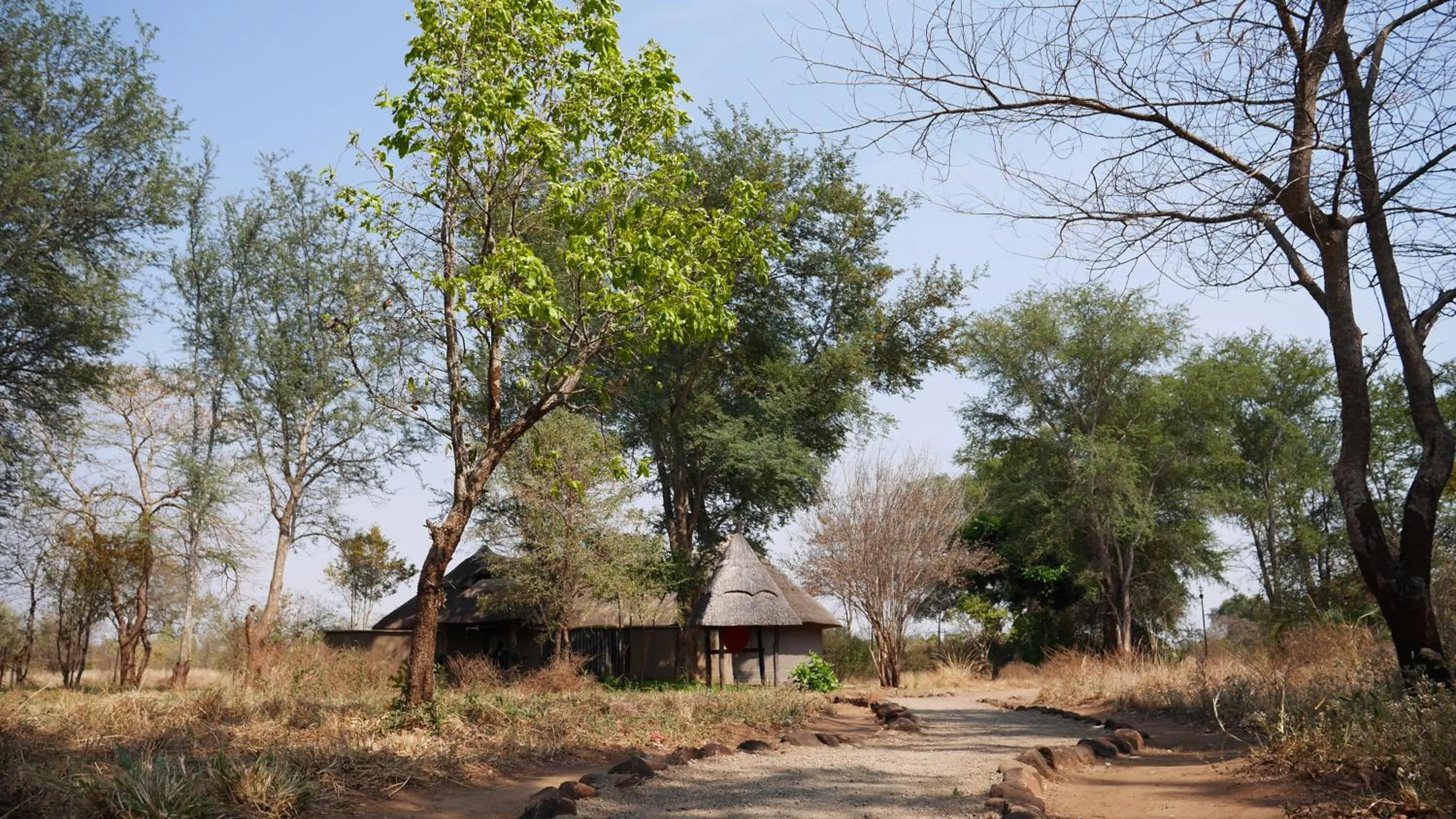View (from property/room) in Munga Eco-Lodge