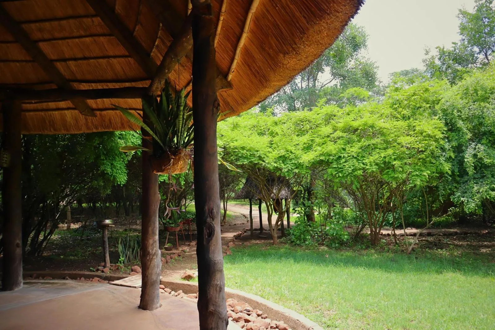 Day in Munga Eco-Lodge