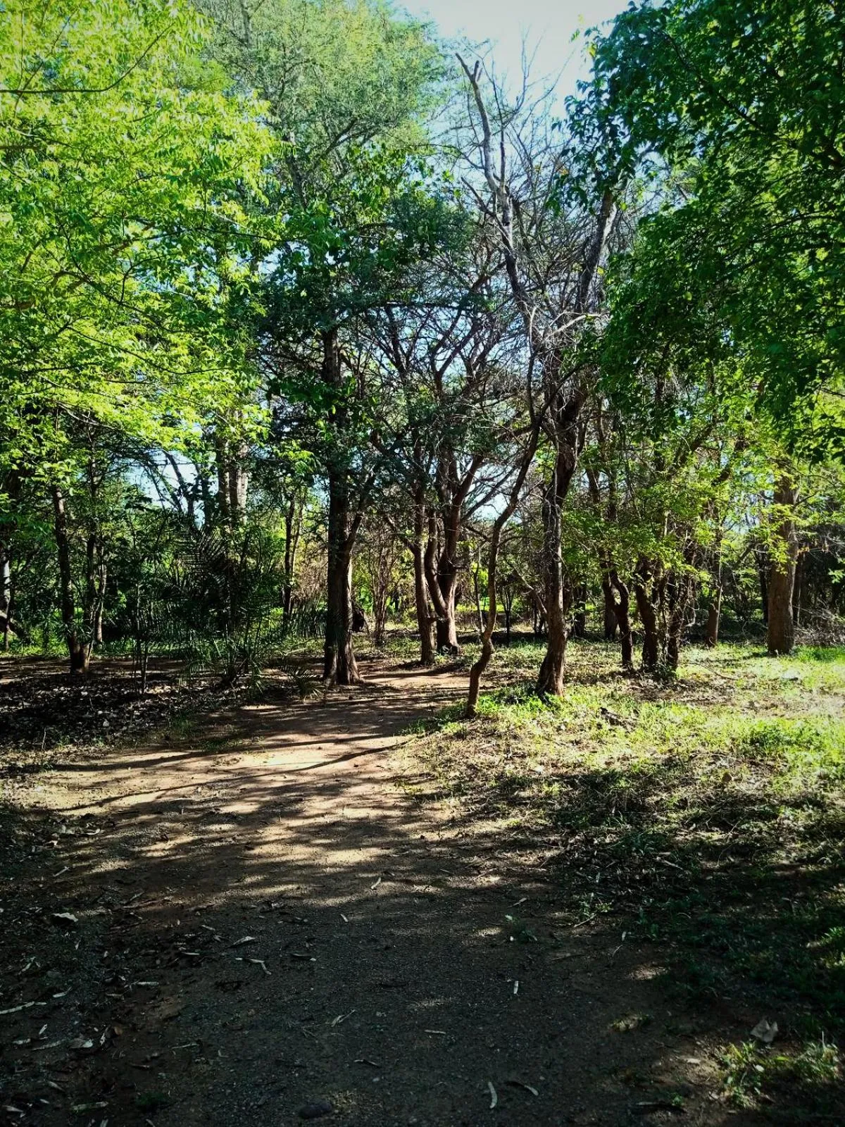 Natural landscape in Munga Eco-Lodge