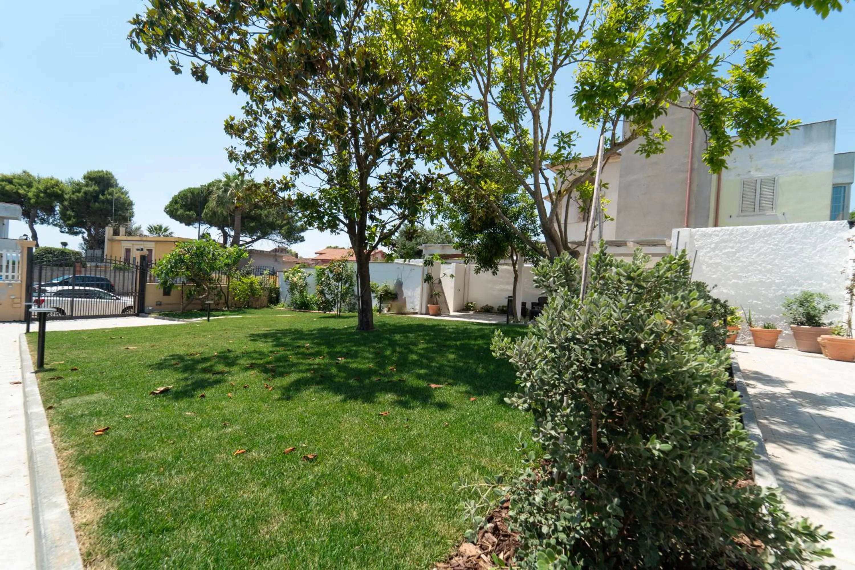 Property building in Paquja