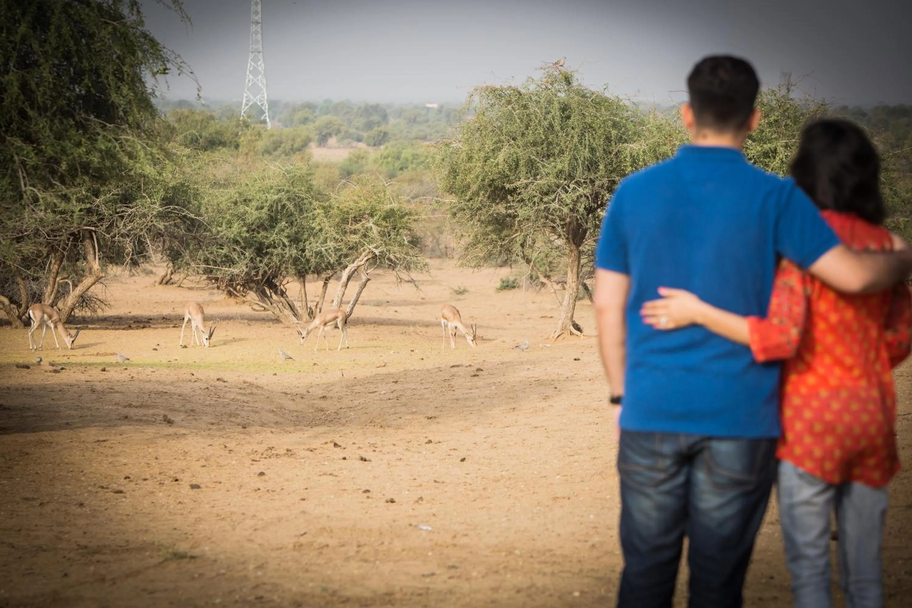 Other in Welcomhotel by ITC Hotels, Jodhpur