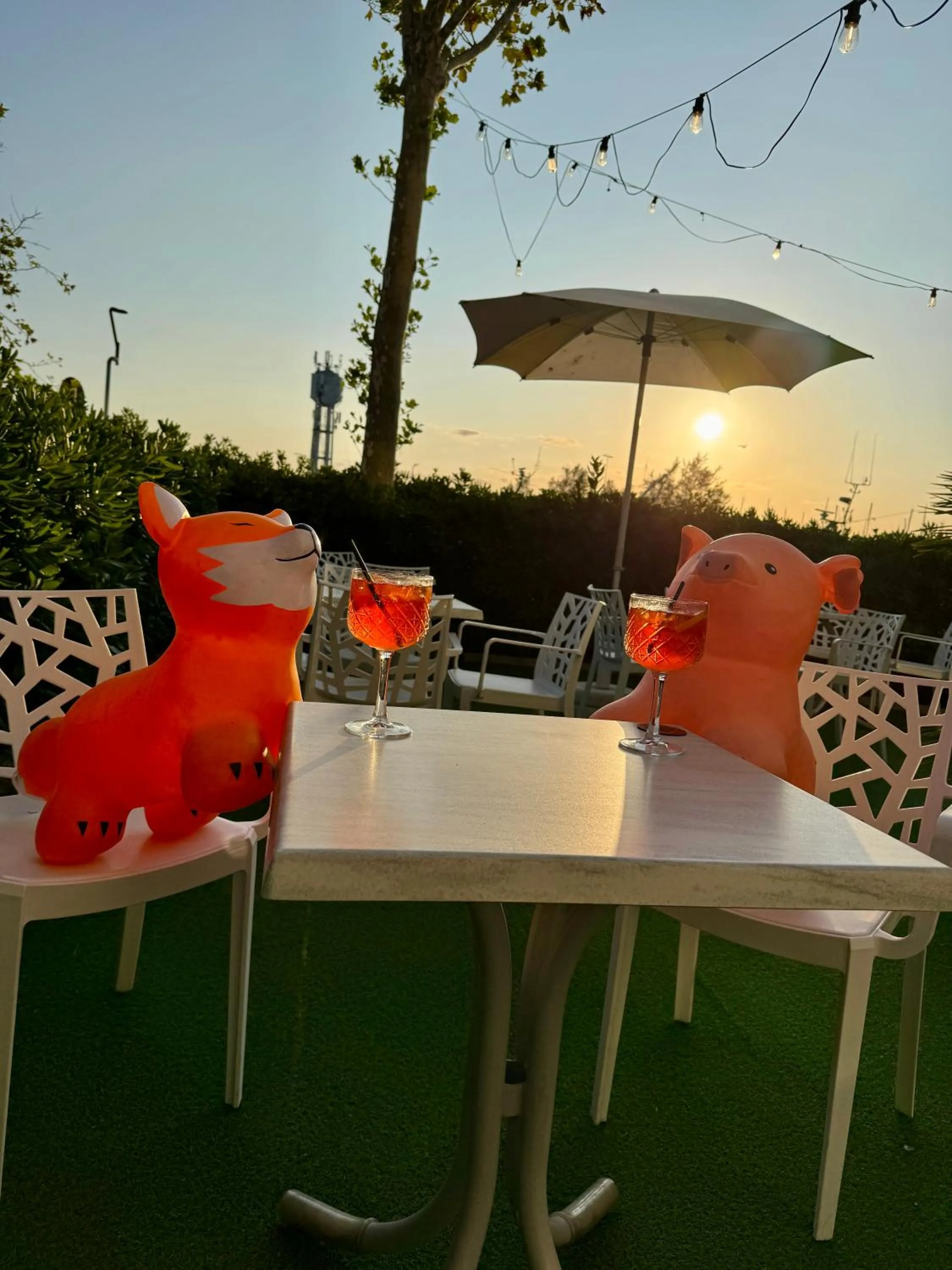 Garden in Hotel Baltic