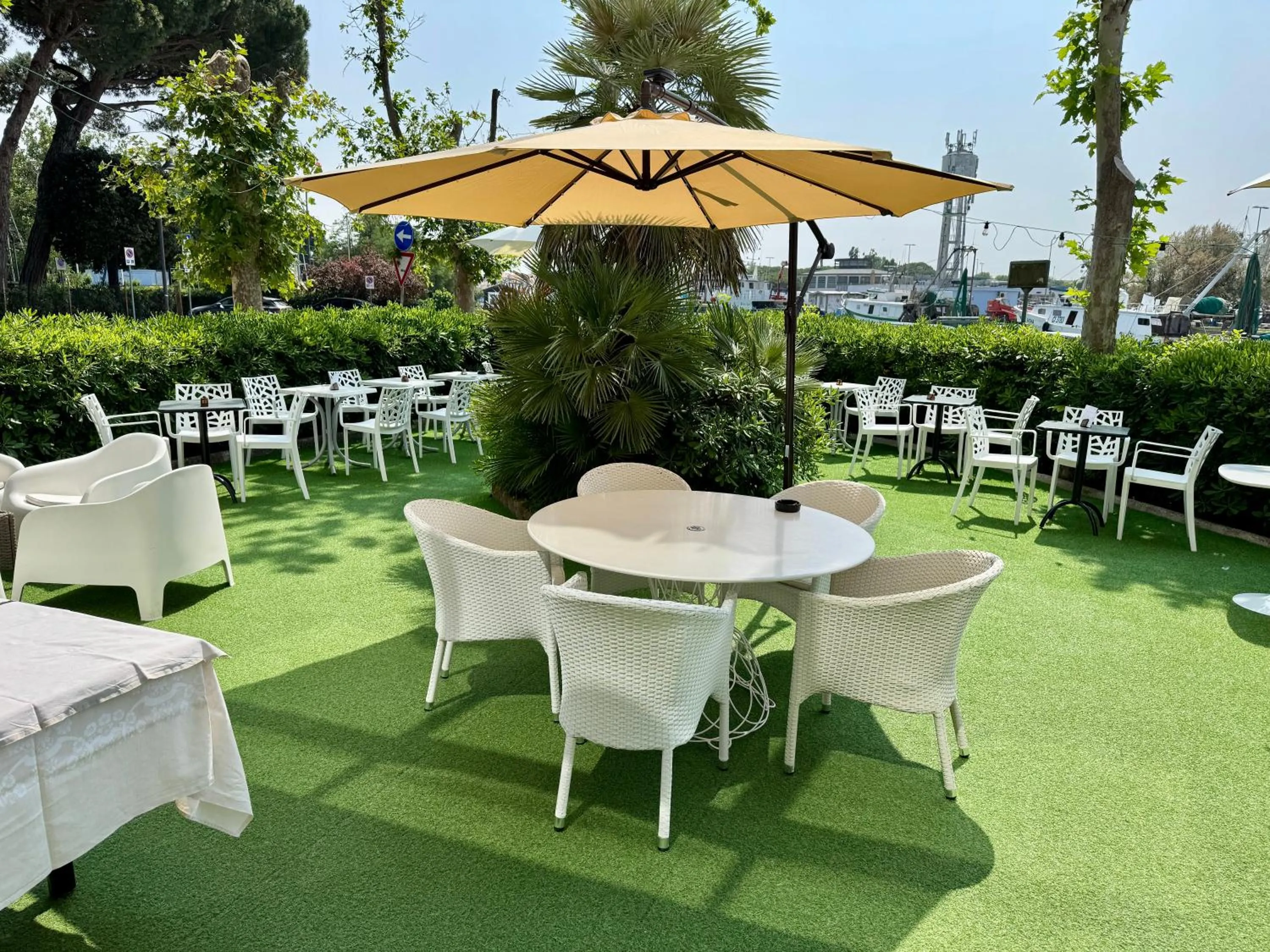 Garden view in Hotel Baltic