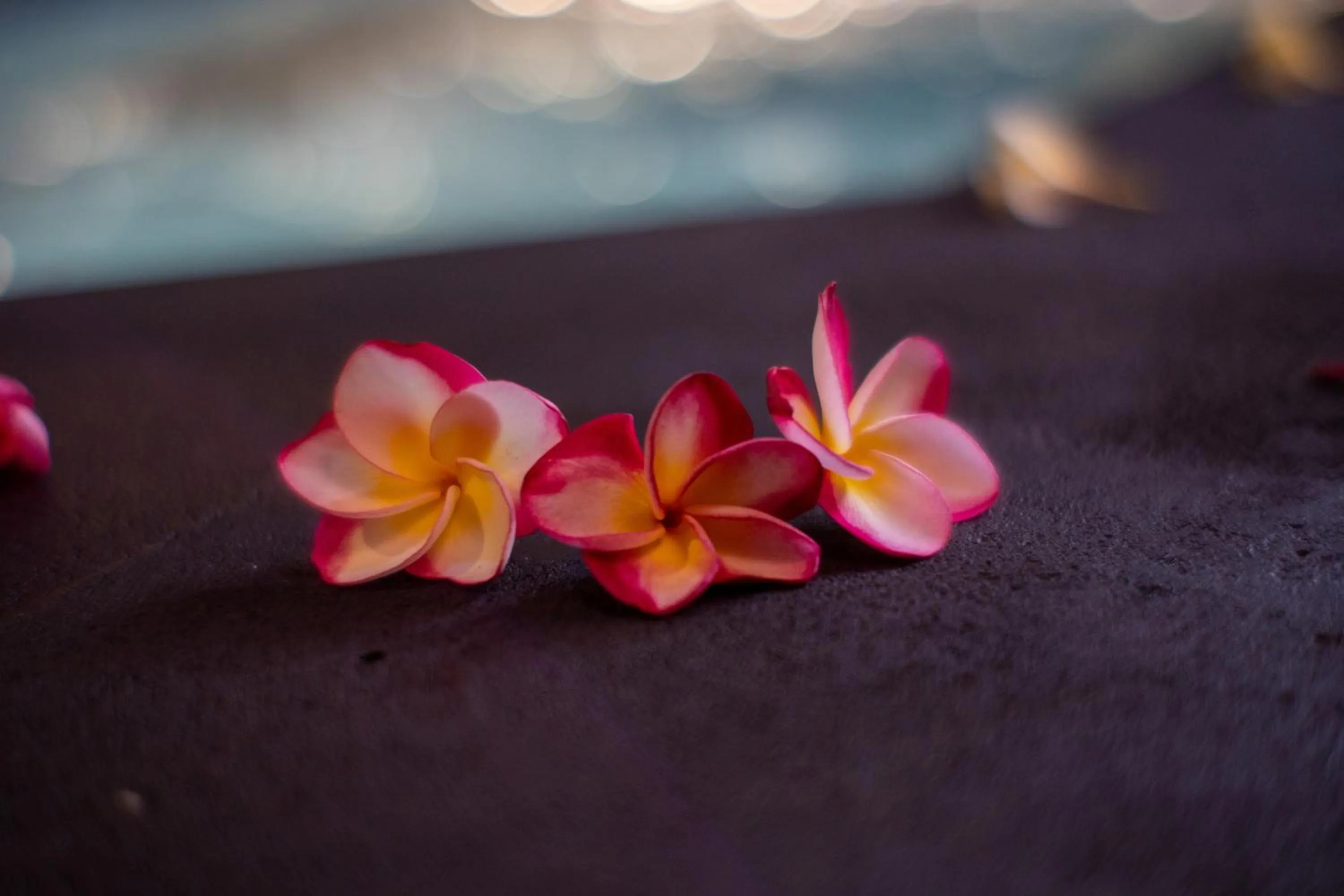 Spa and wellness centre/facilities in Villa Selonding Batu