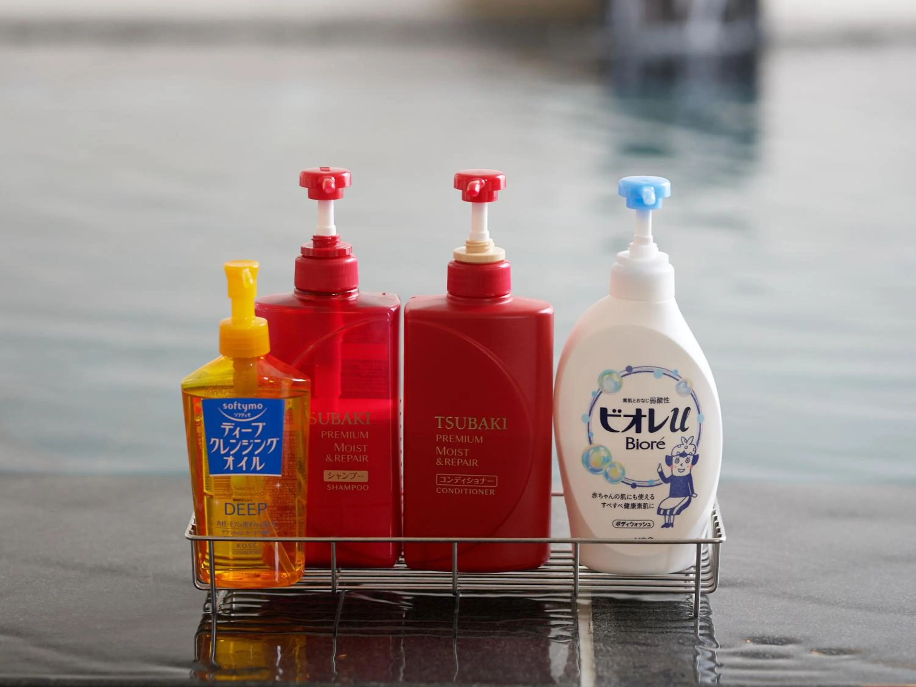 Public Bath in Chateraise Lodge Atami