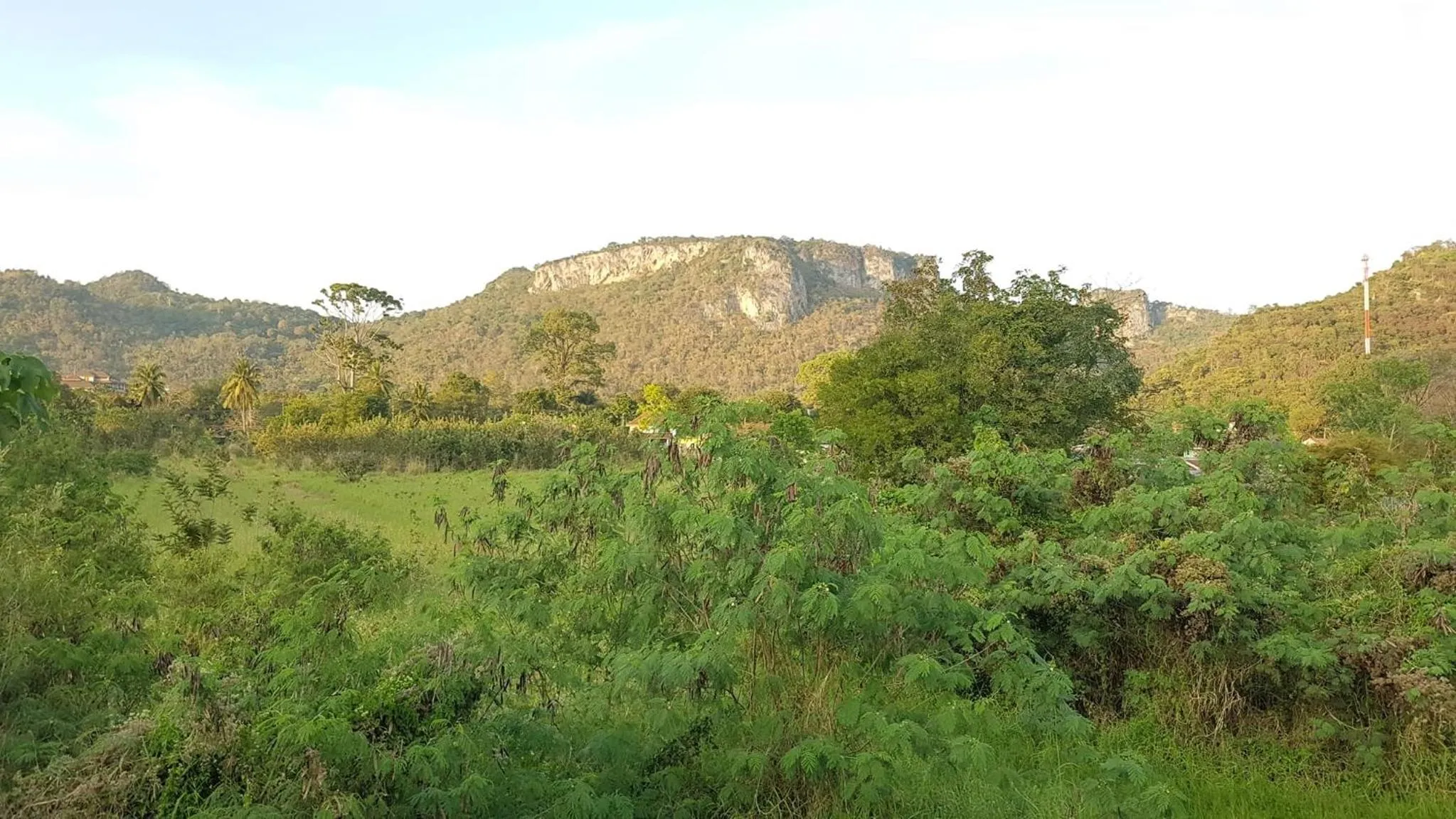 Natural landscape in Family Resort Khao Yai