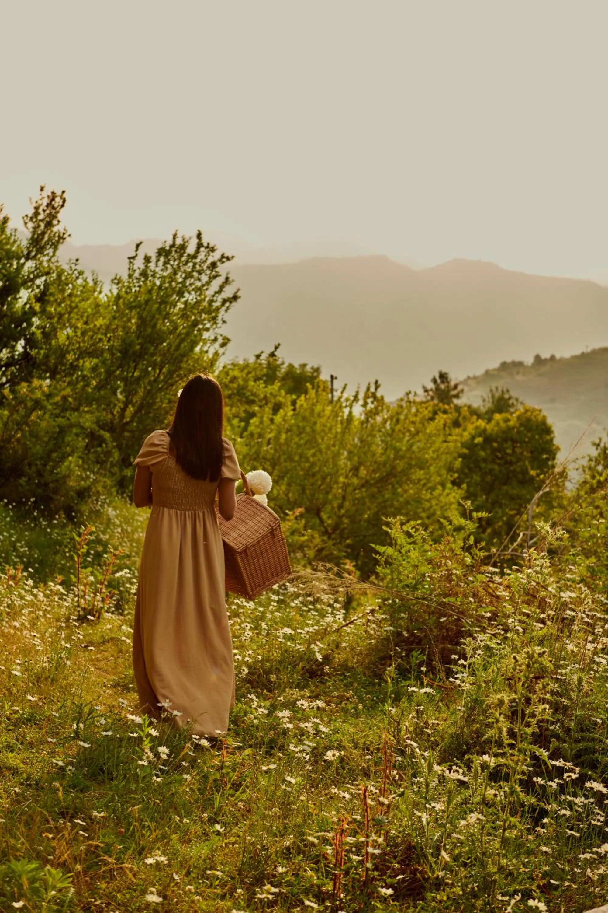 Minimalist : An Eco Farmstay