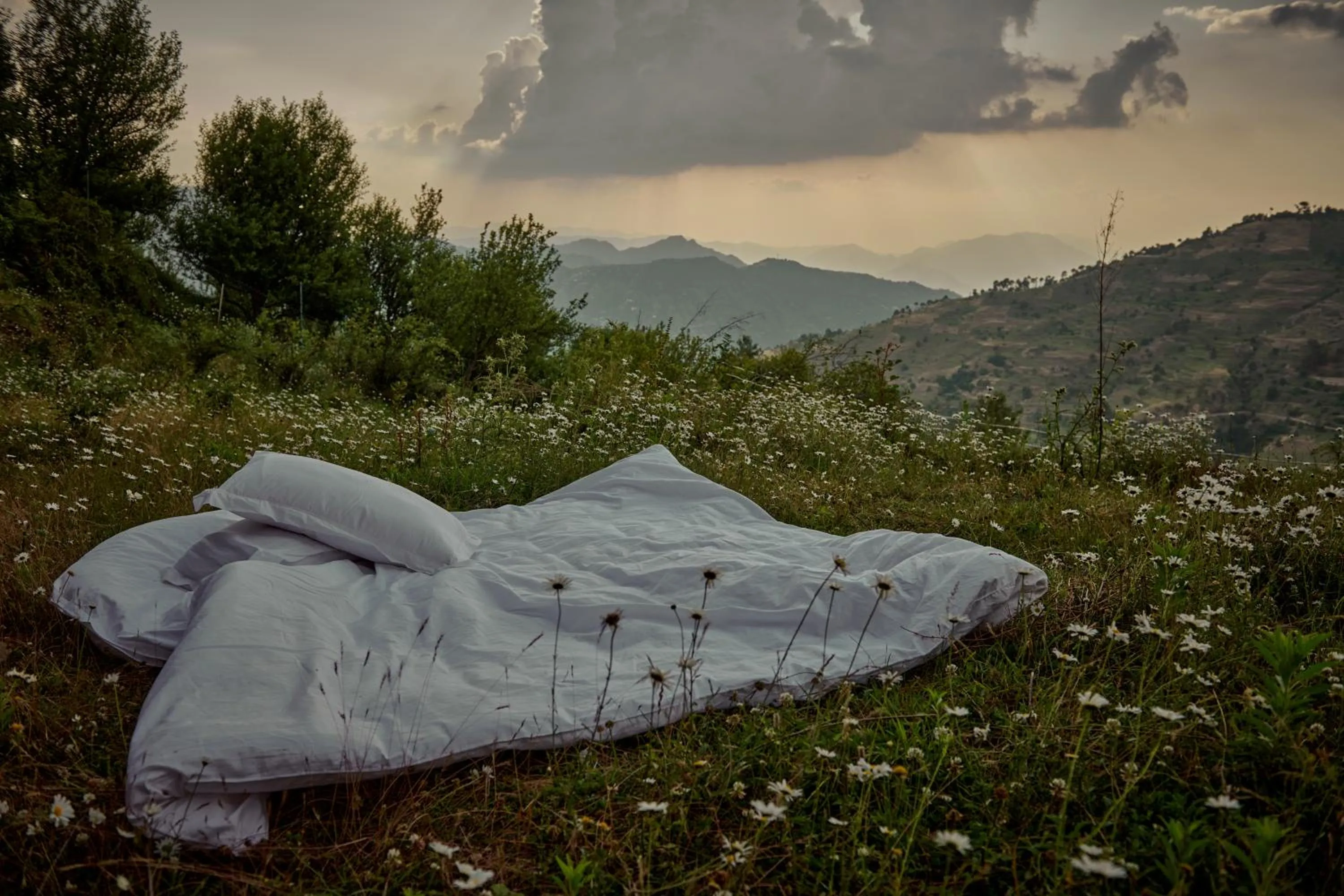 Minimalist : An Eco Farmstay