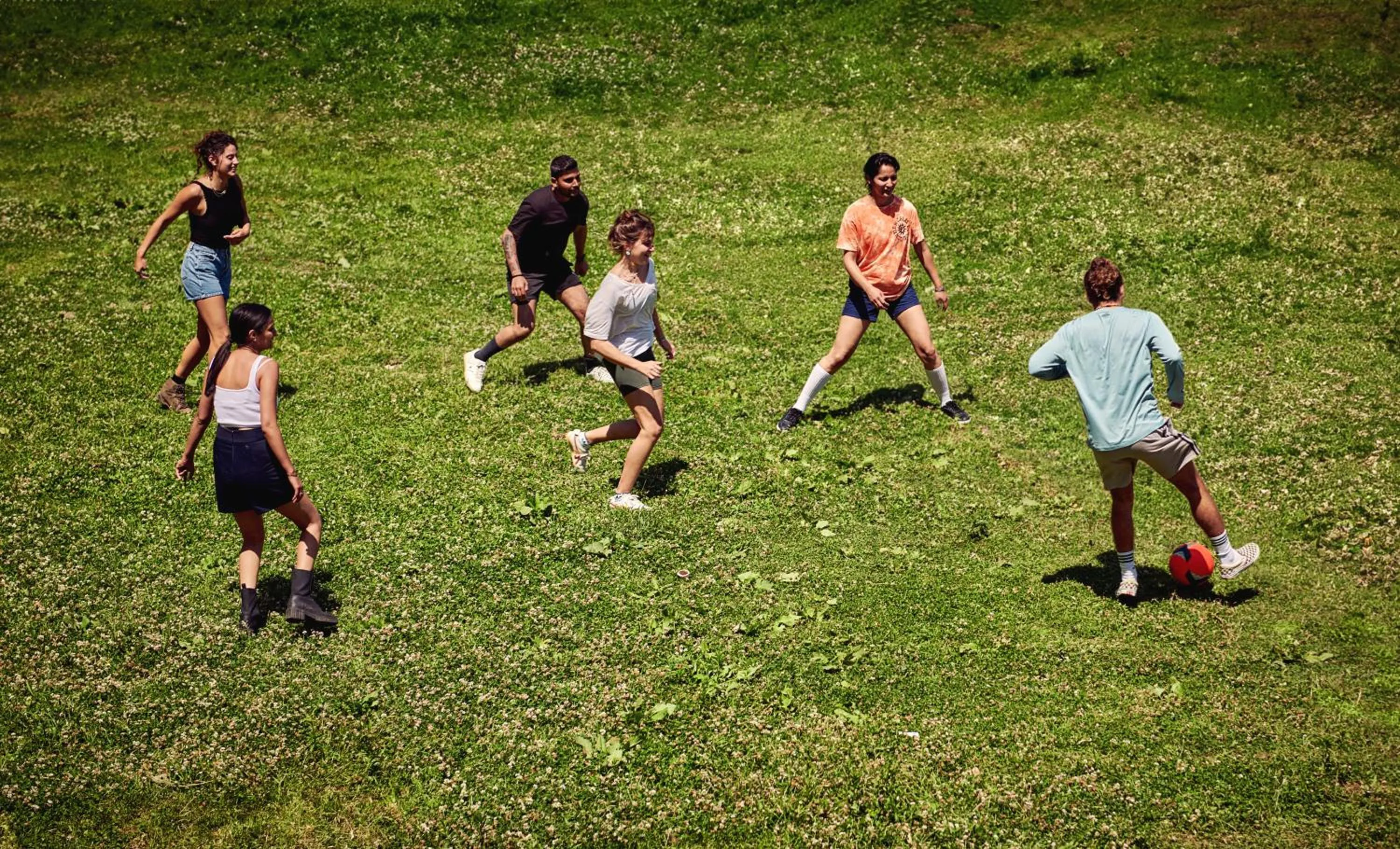 Minimalist : An Eco Farmstay