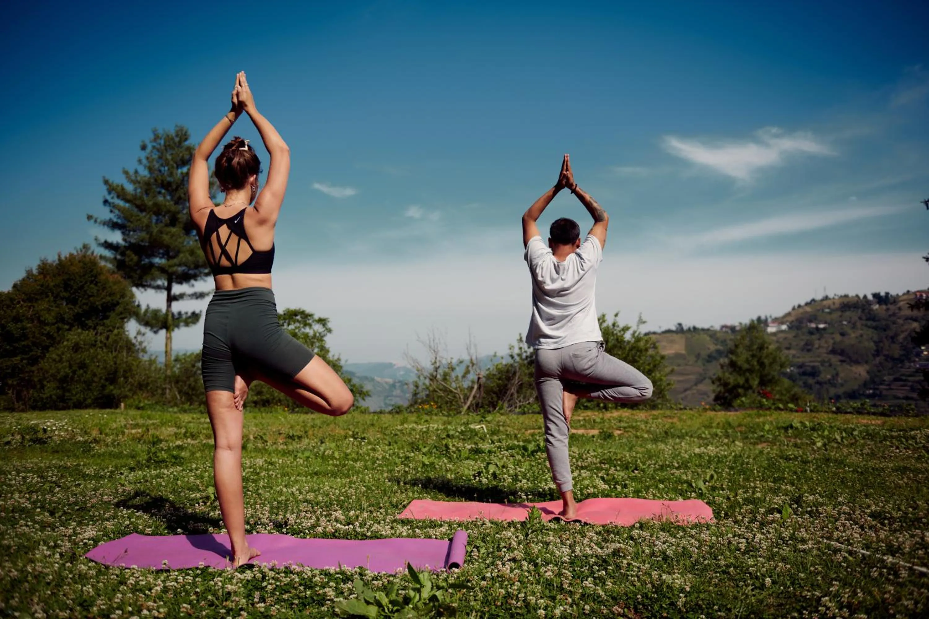 Activities in Minimalist : An Eco Farmstay