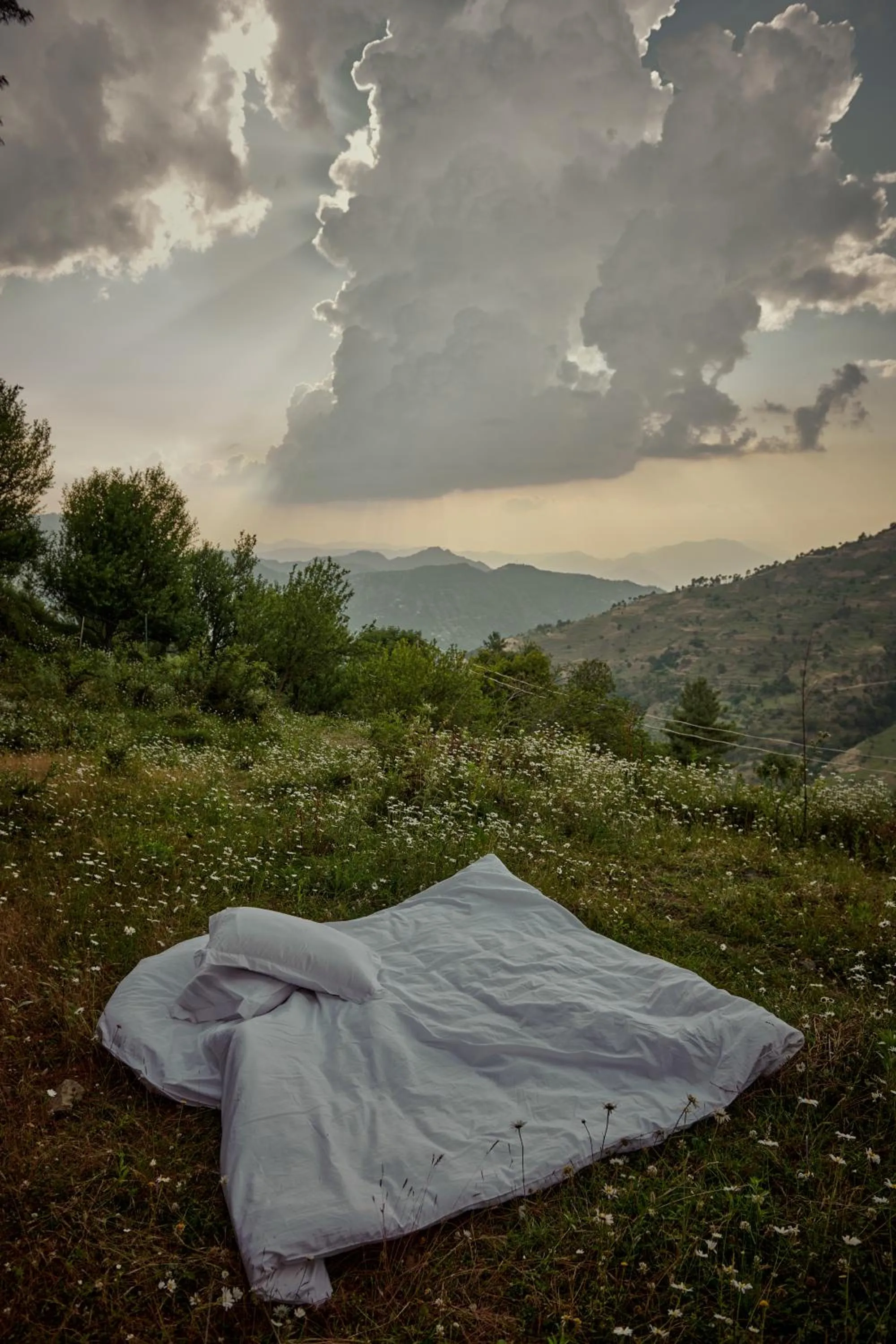 Minimalist : An Eco Farmstay