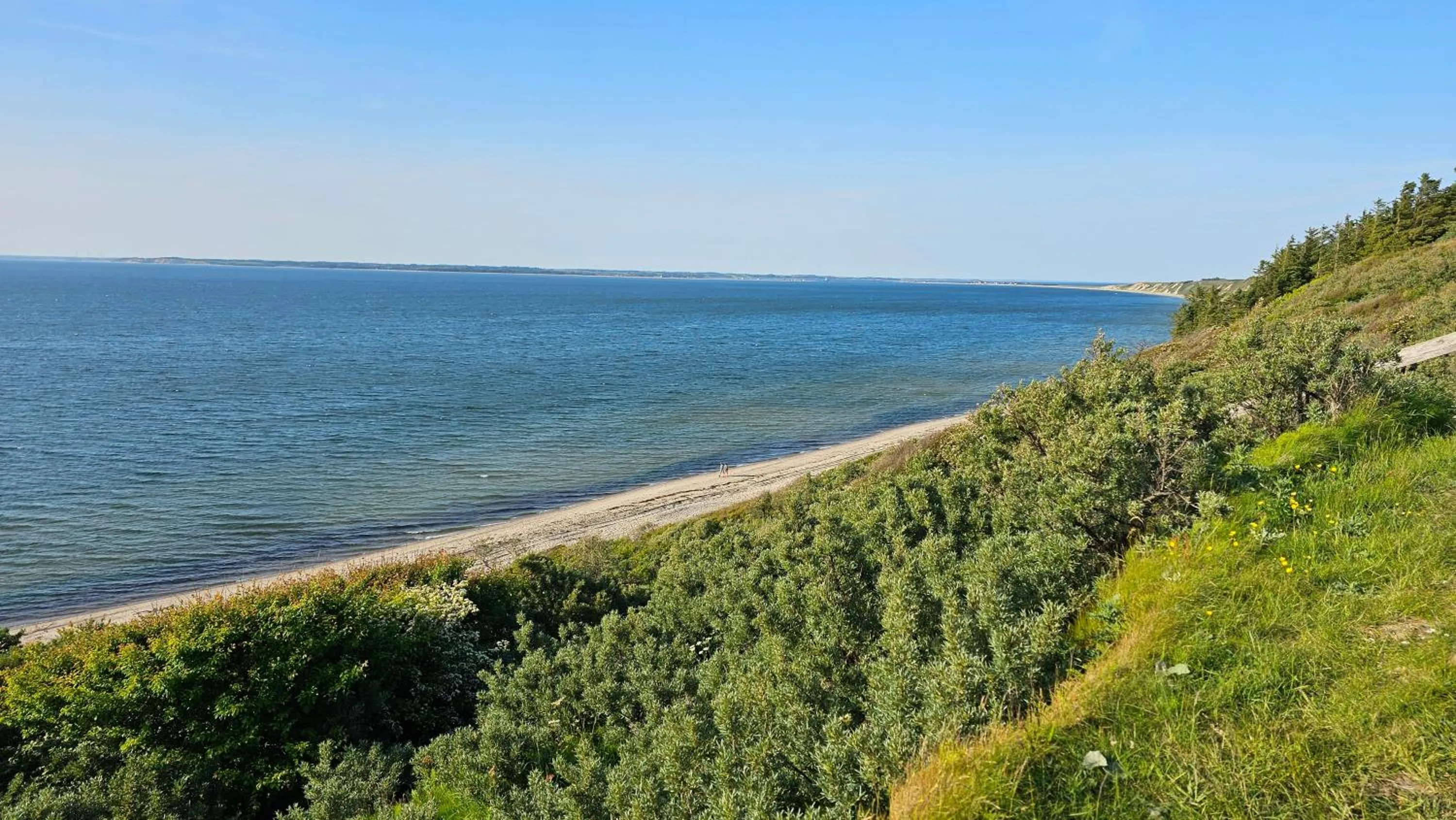 Natural landscape in Gudum Park