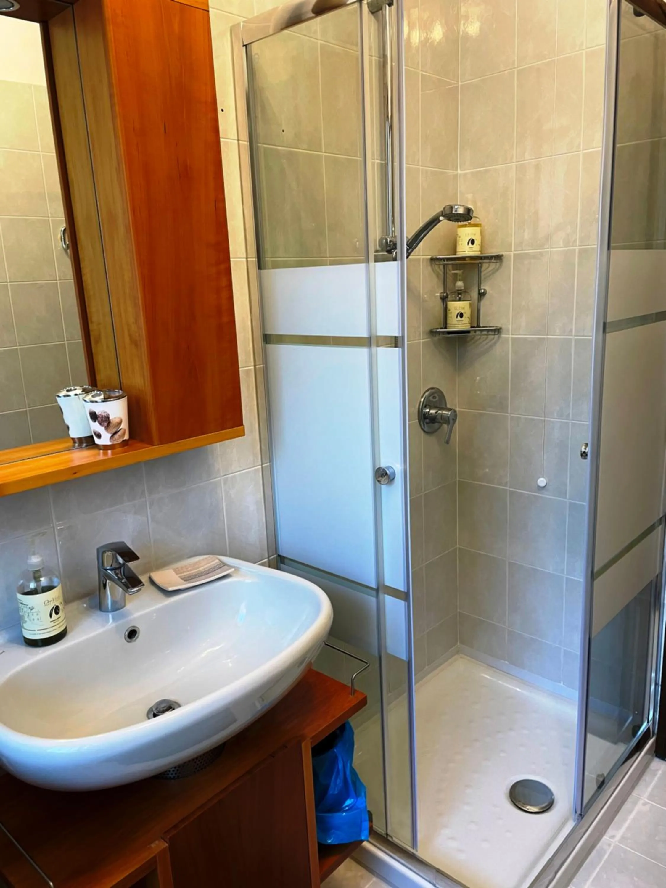 Shower in Hotel Diffuso Il Portichetto sulla collina a Vezio Perledo