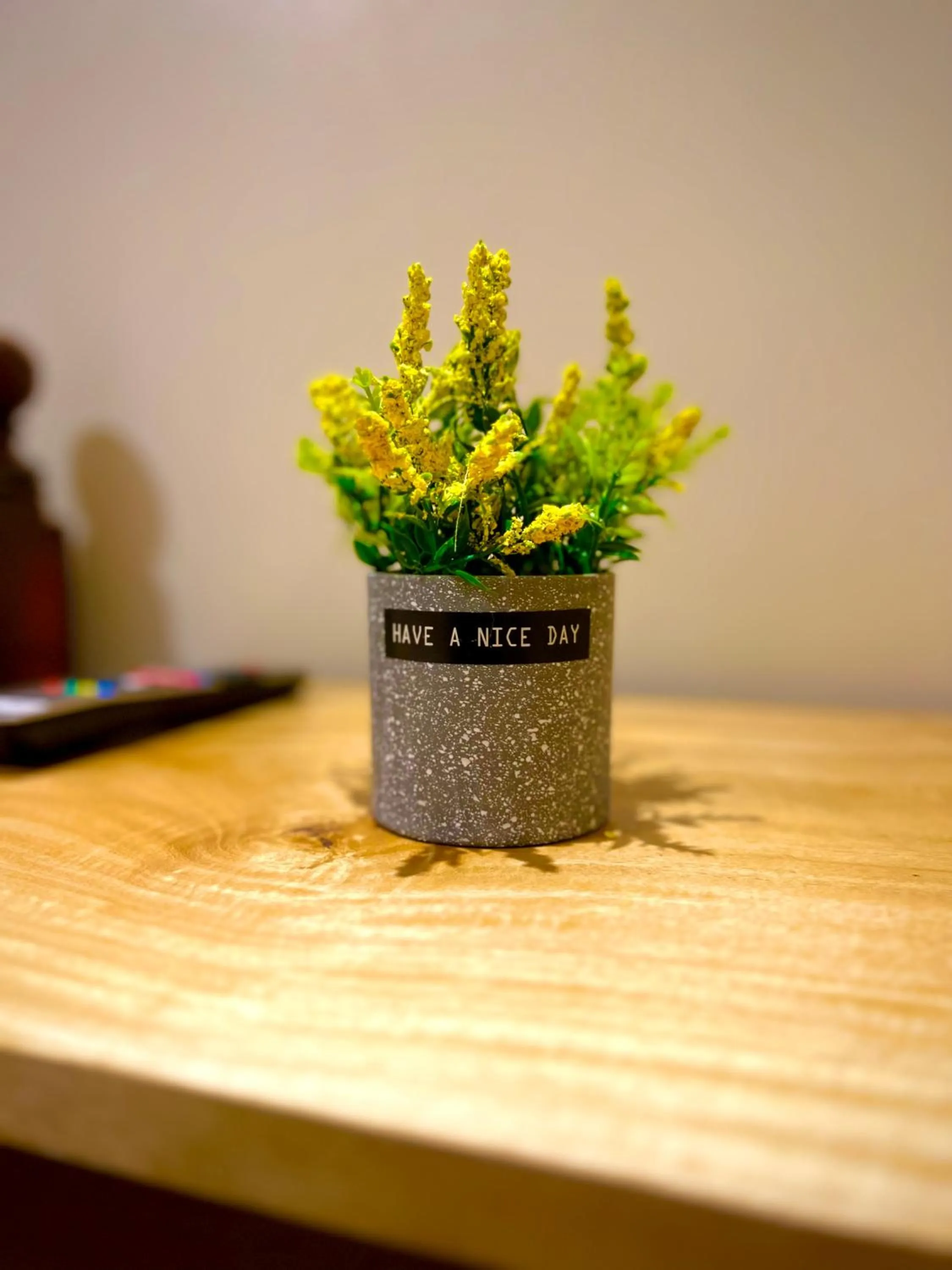 Vencejos Inn - El Nido