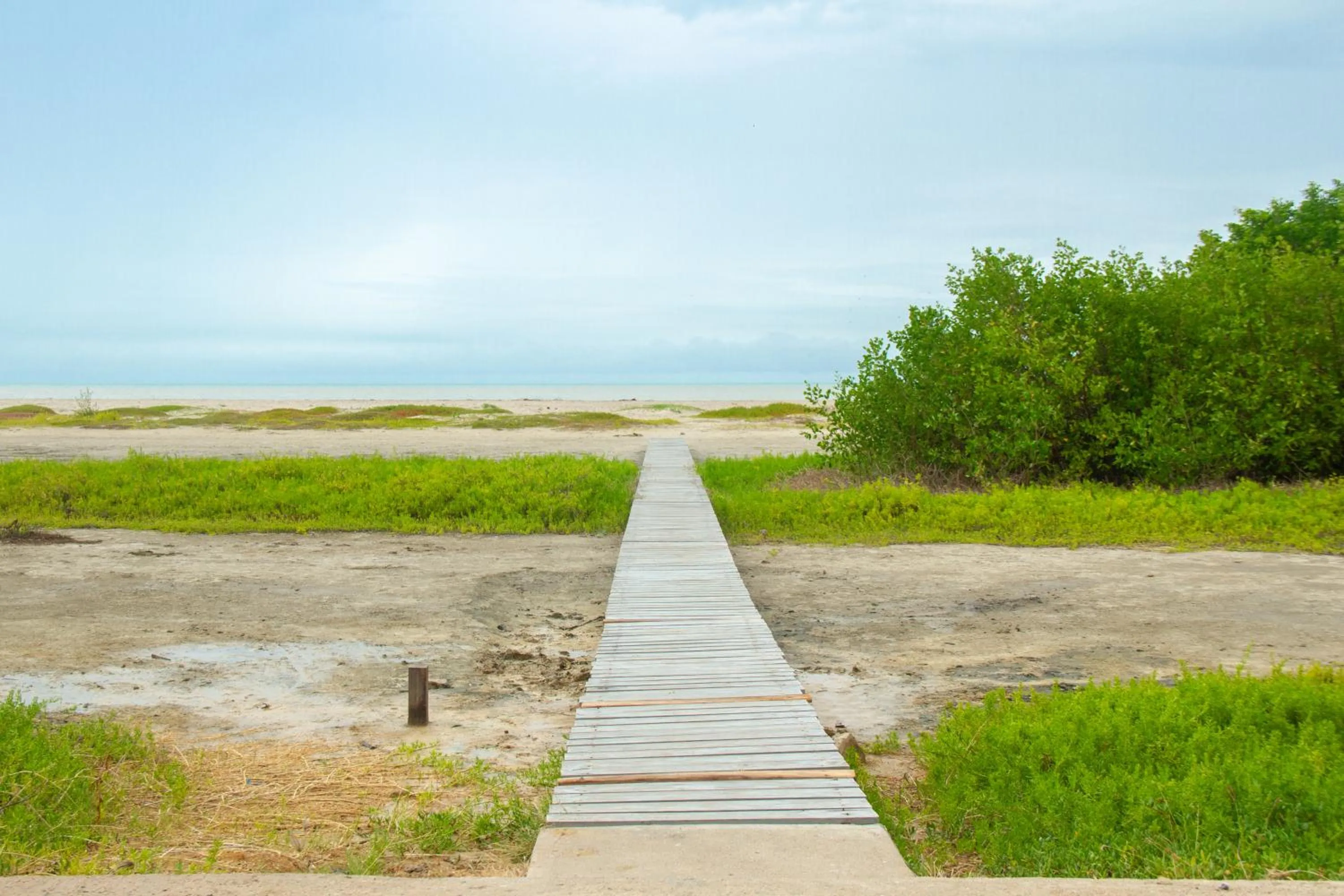 Natural landscape in Hotel Castillo del Mar