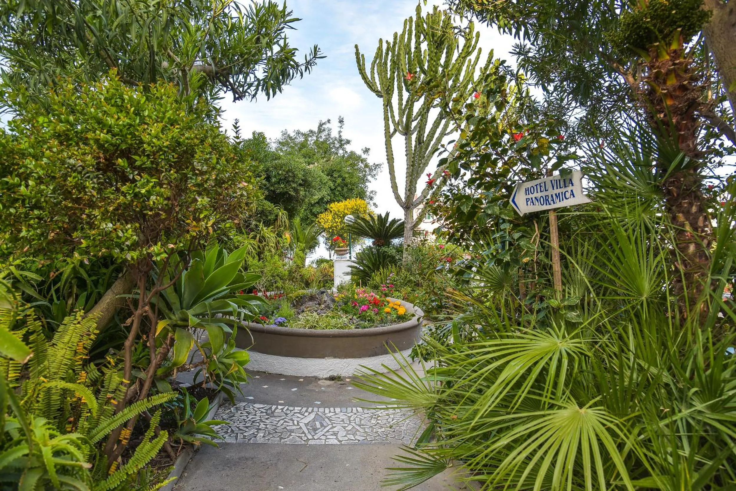 Garden in Villa Panoramica - Ischia Ponte