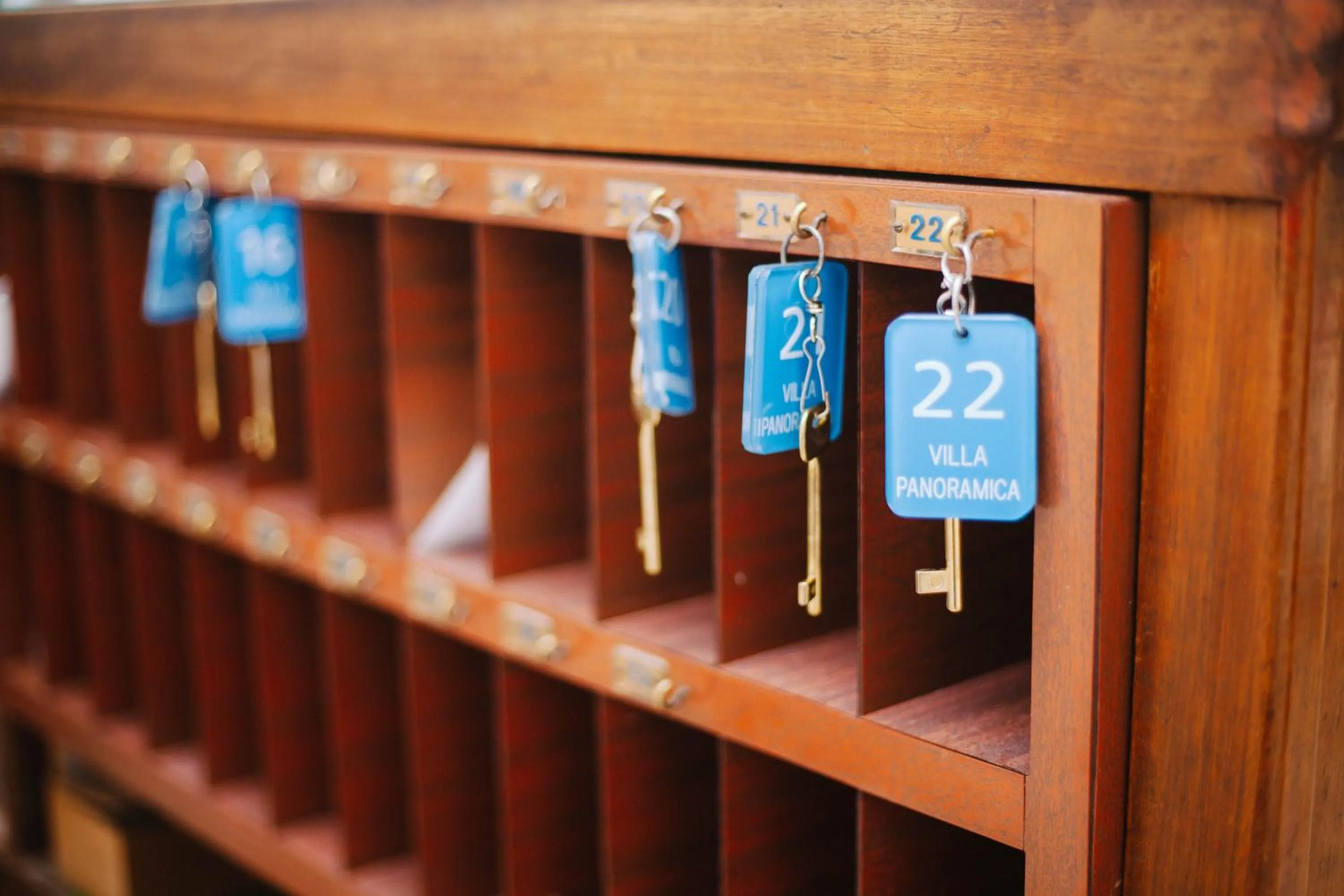 Lobby or reception in Villa Panoramica - Ischia Ponte