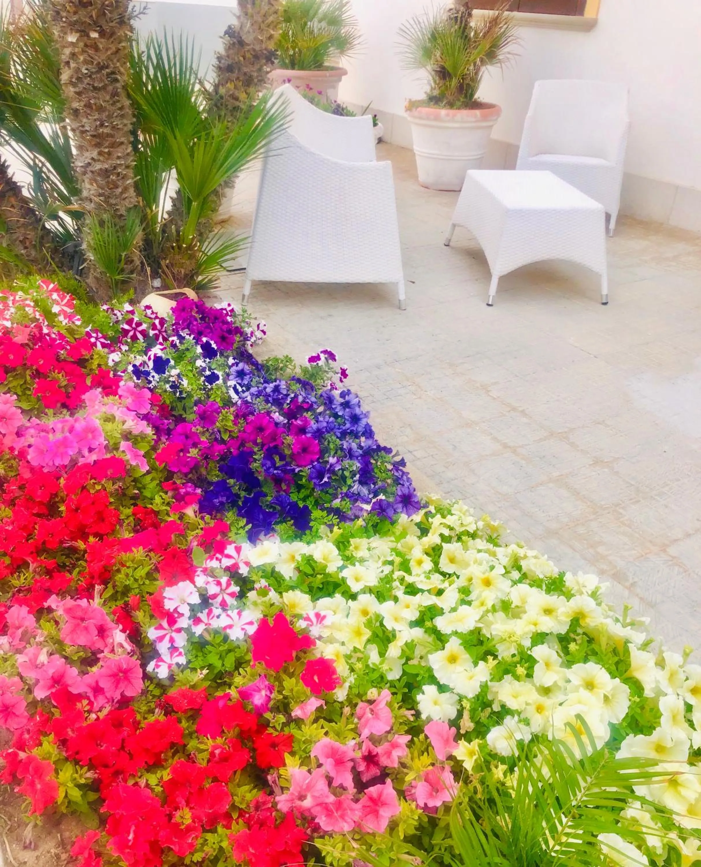 Street view in Araba Fenice Hotel