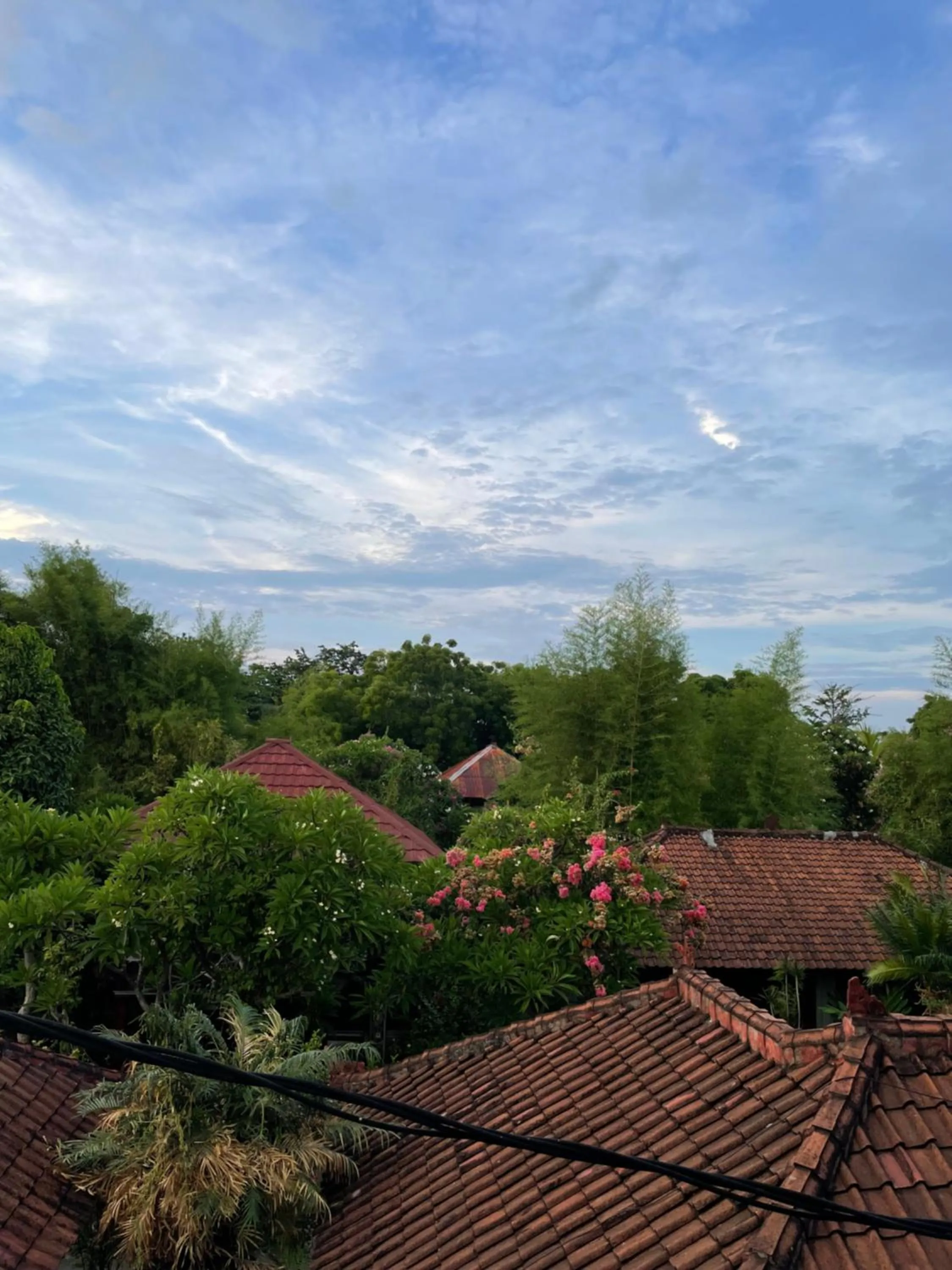 Day in Kubu Elsa Bali