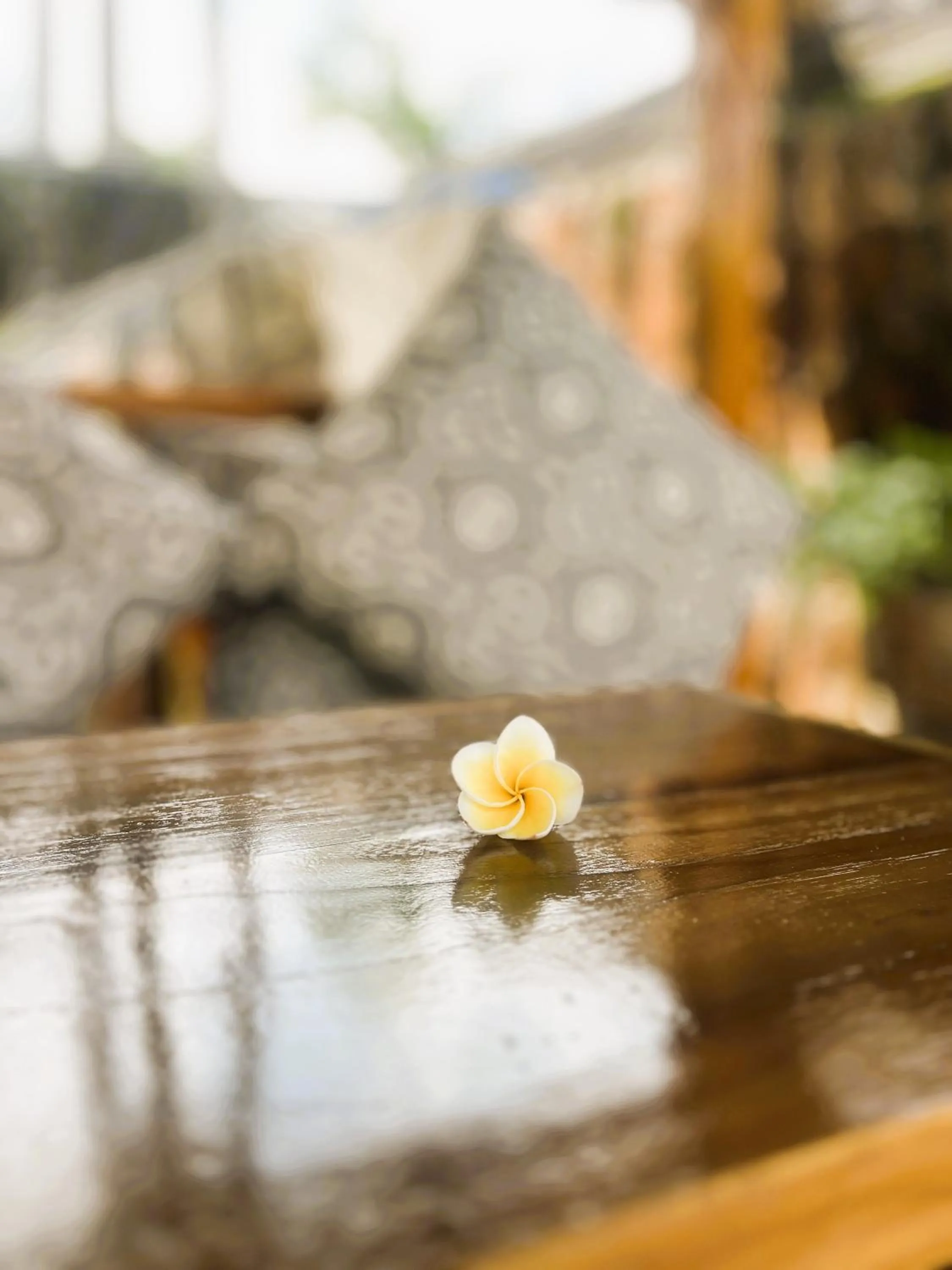 Property building in Kubu Elsa Bali