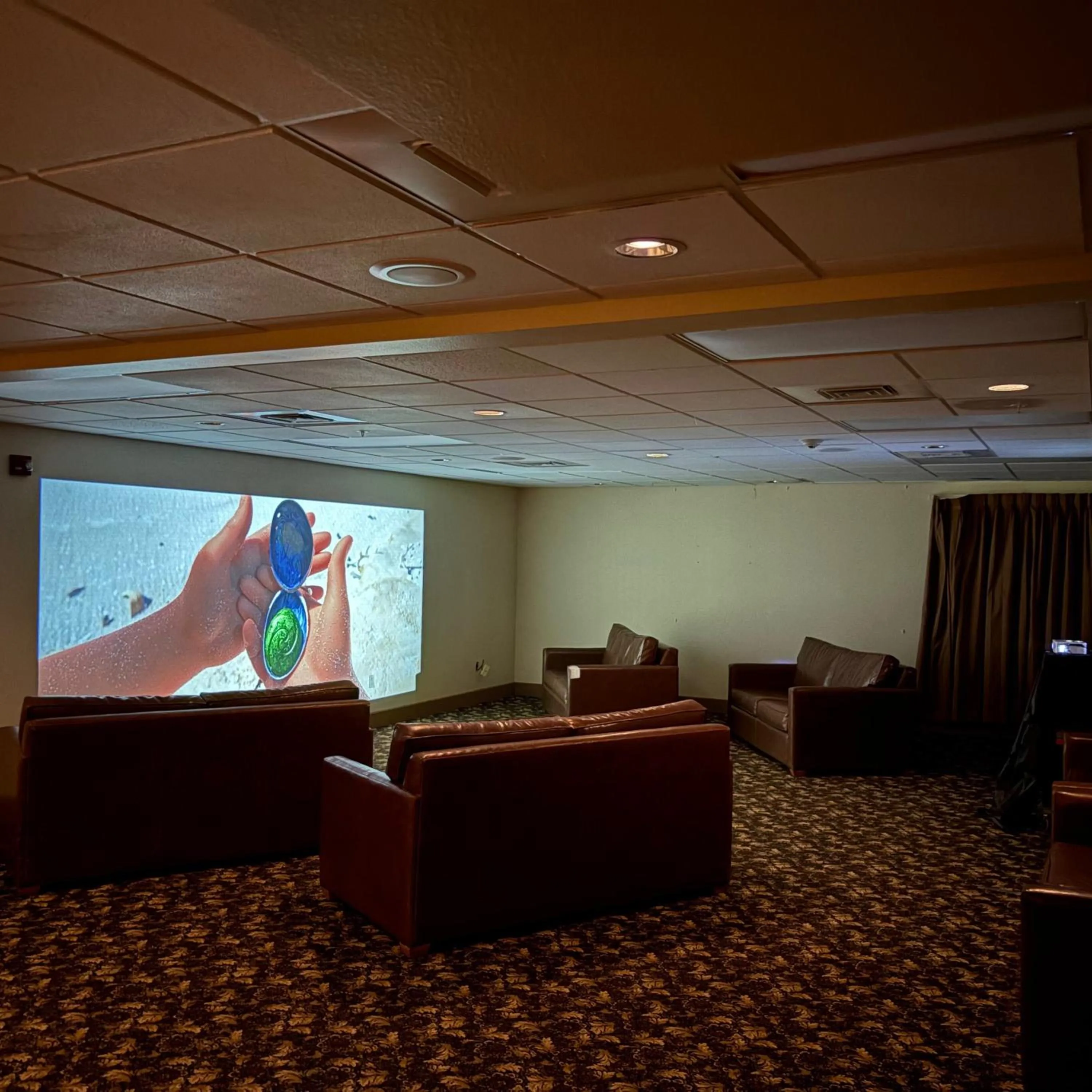 Entertainment in Hotel Mar Vista