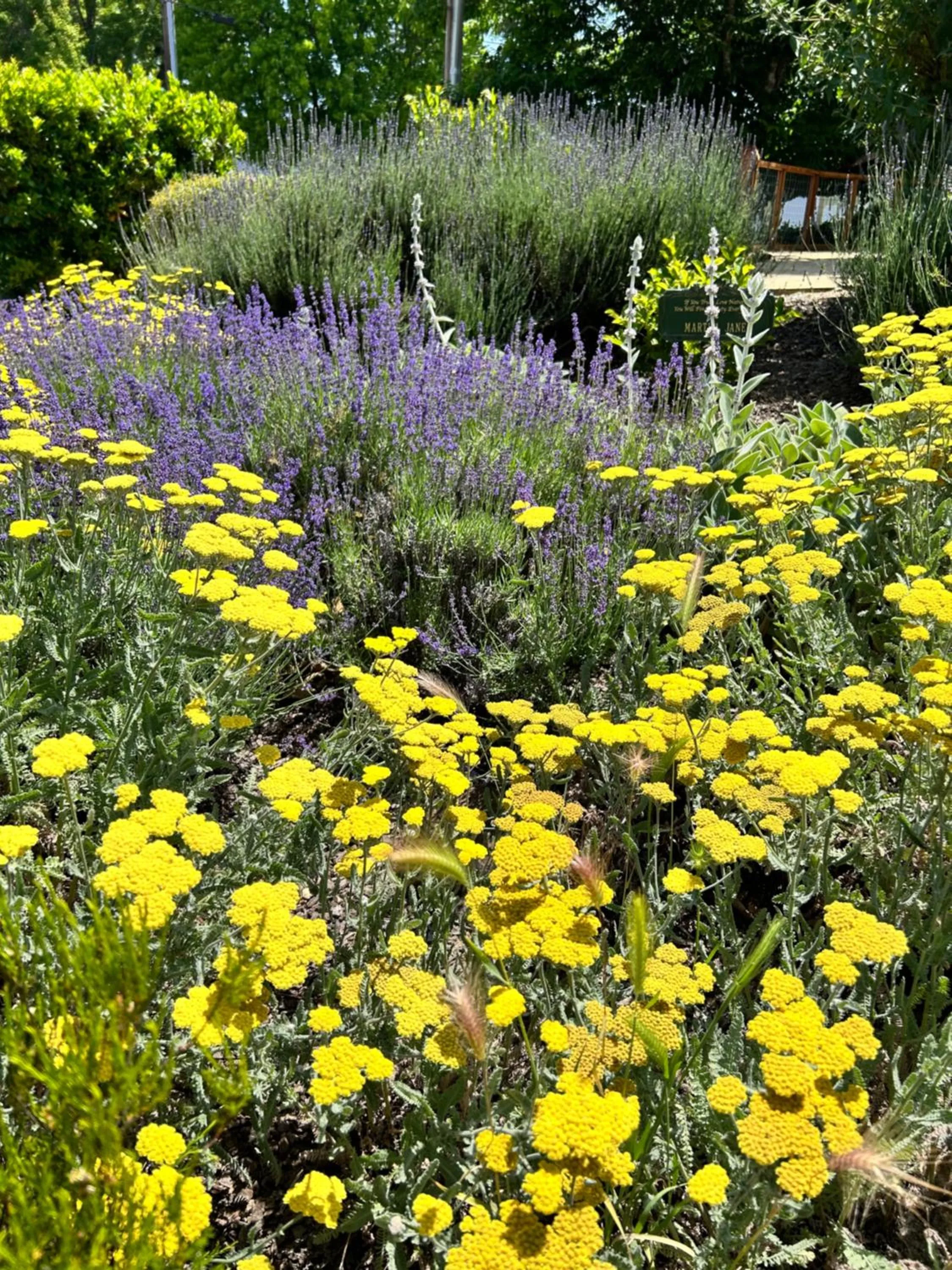 Garden in The Gables Wine Country Inn