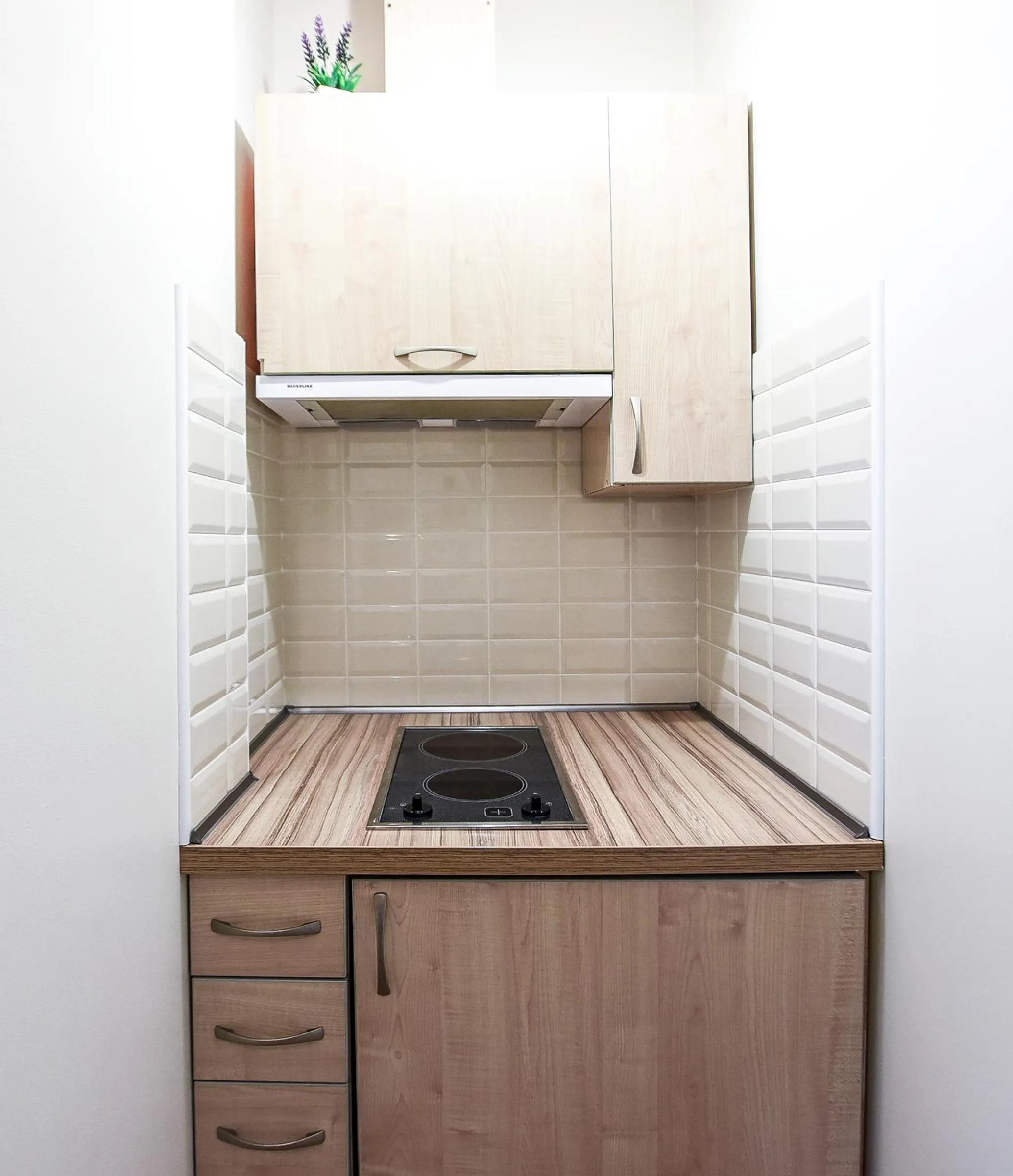 Kitchen or kitchenette in Saulės Krantas