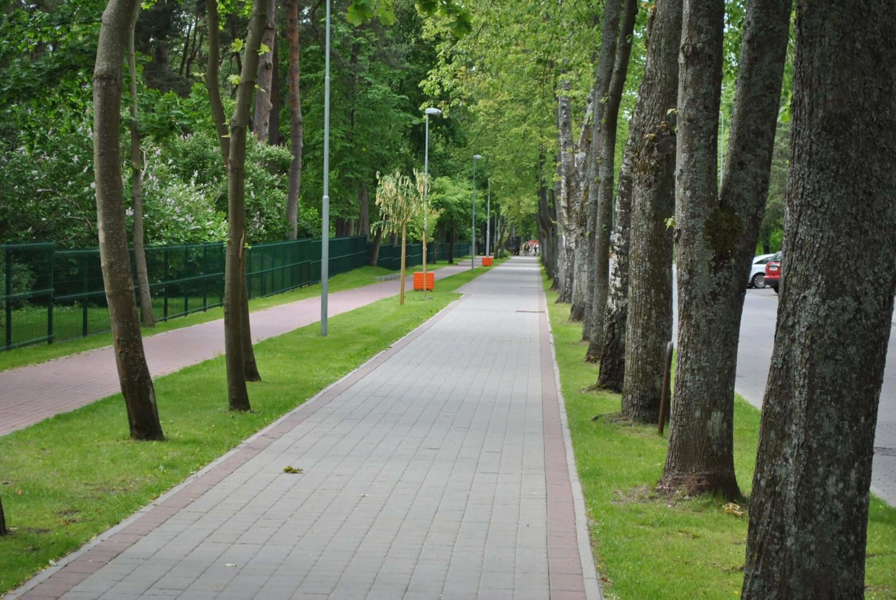 Area and facilities in Saulės Krantas