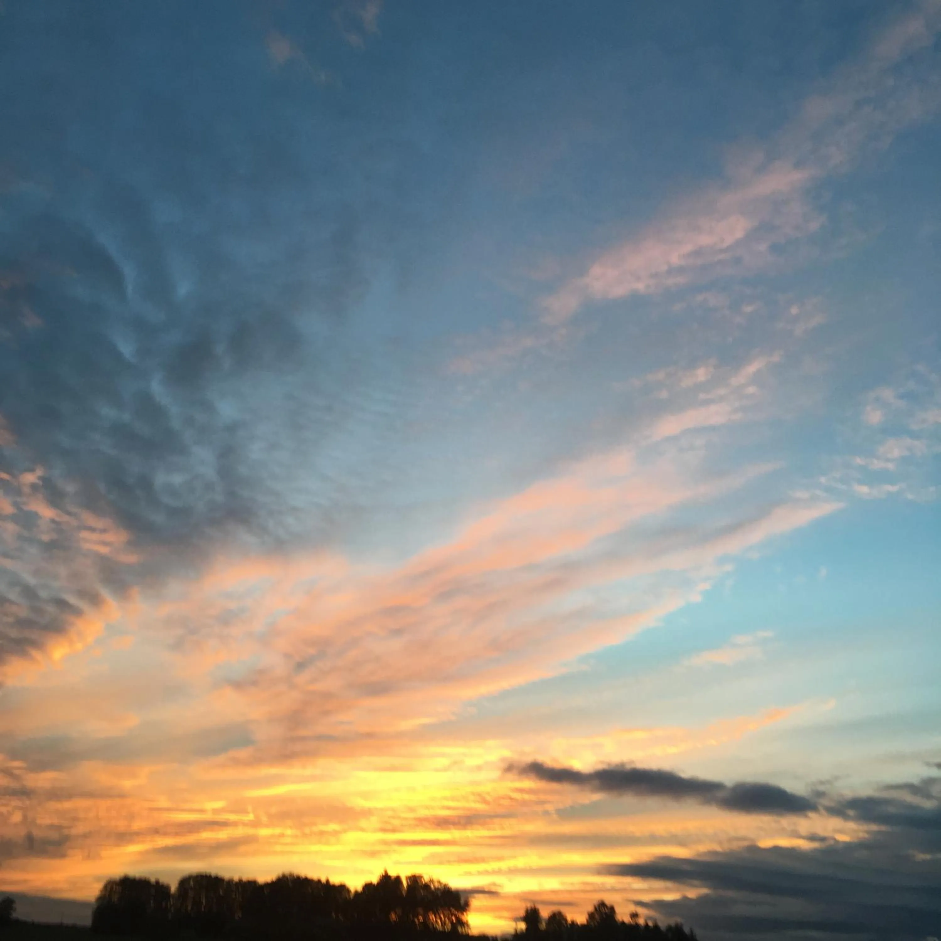 View (from property/room) in Saulės Krantas