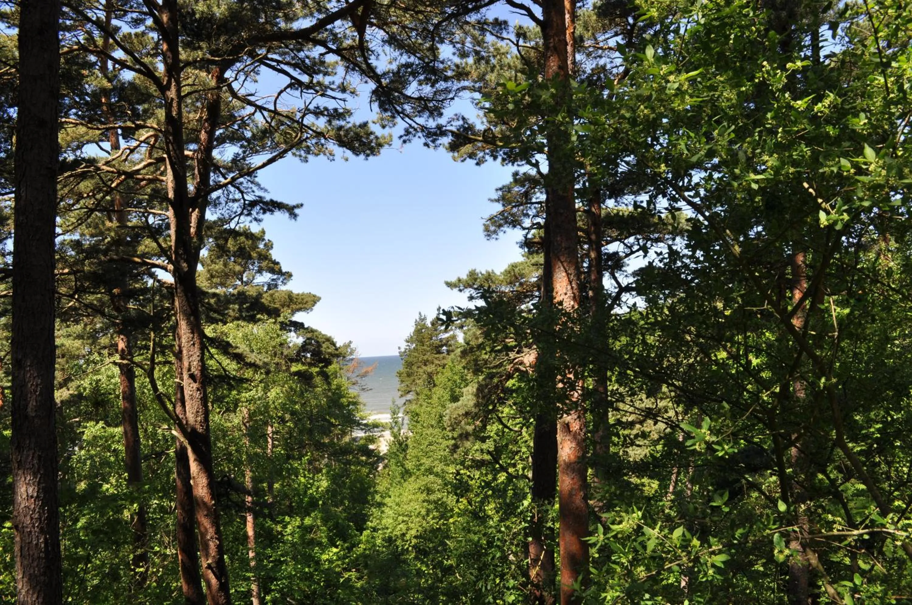 Beach in Saulės Krantas