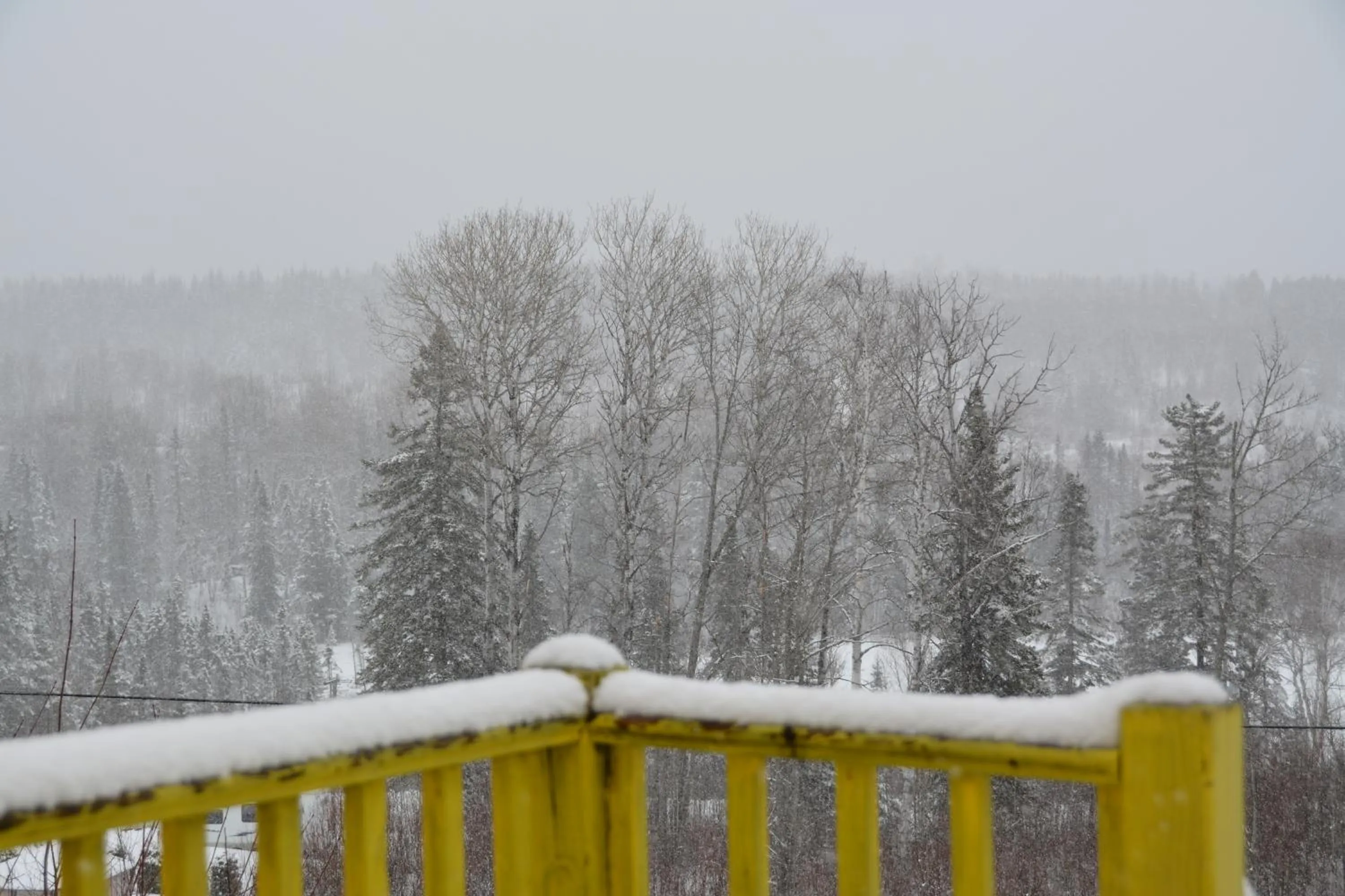 Natural landscape in Parc du Mont-Citadelle