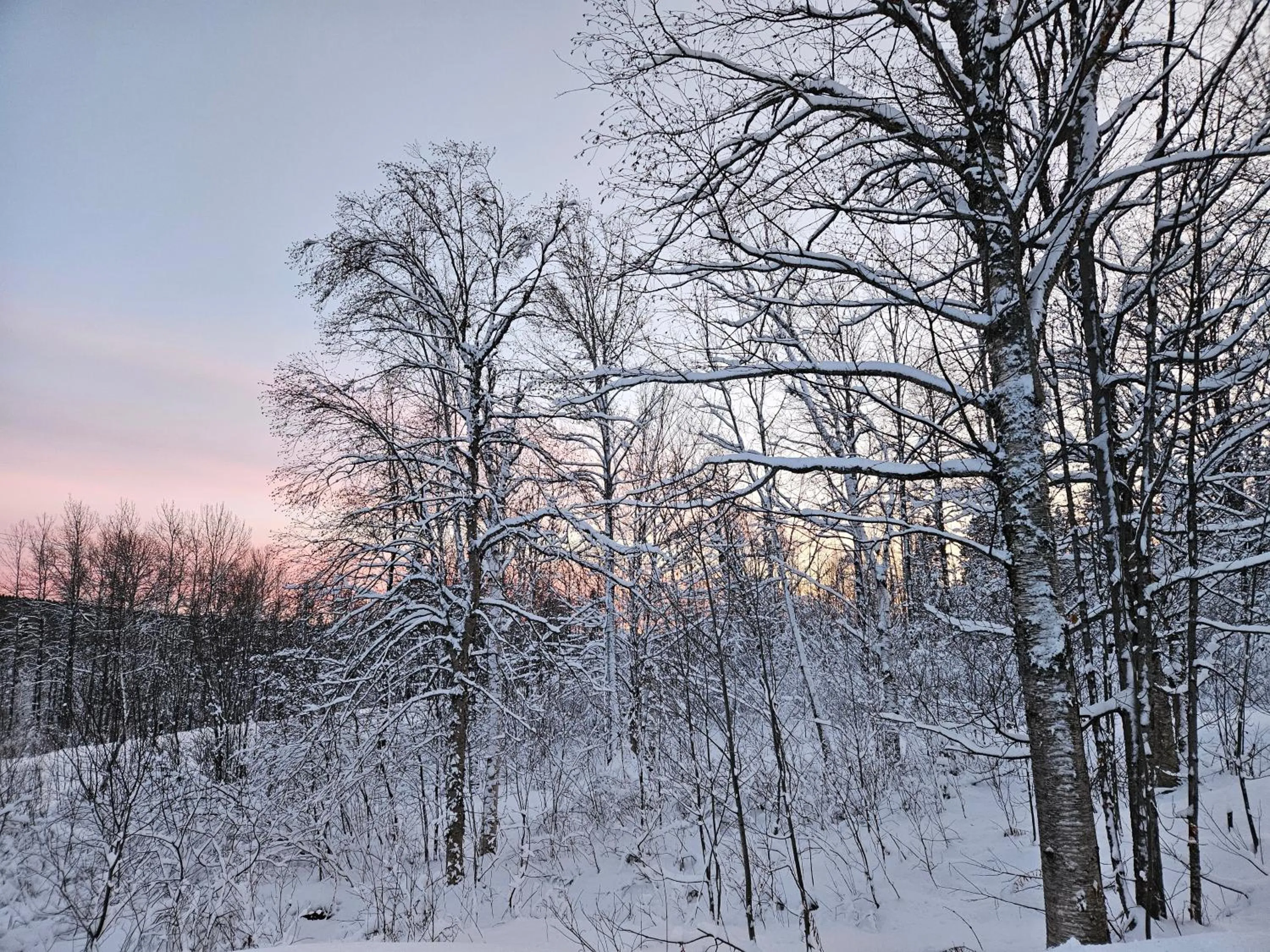 Natural landscape in Parc du Mont-Citadelle