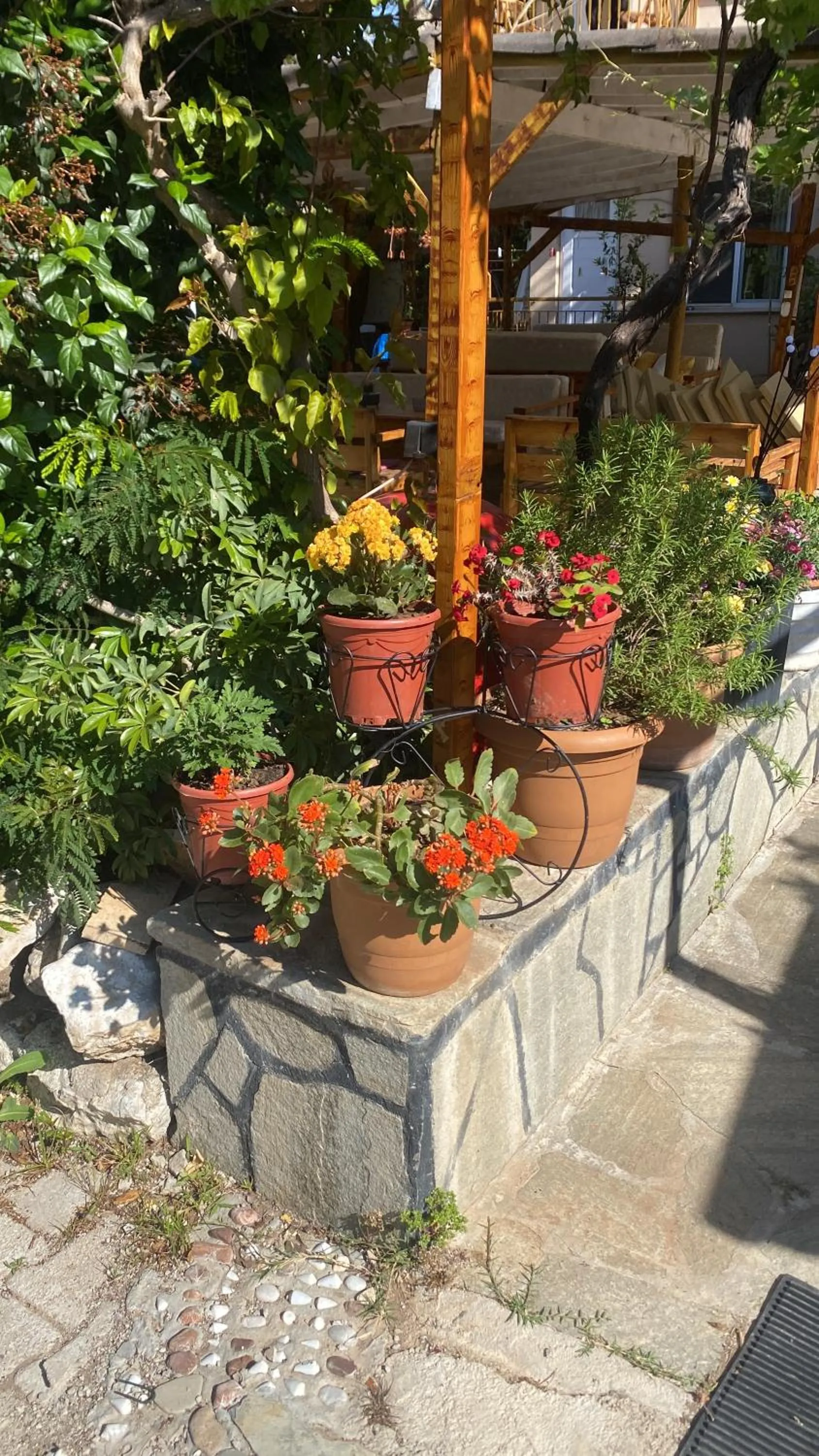 Garden in Rosemary Pansiyon