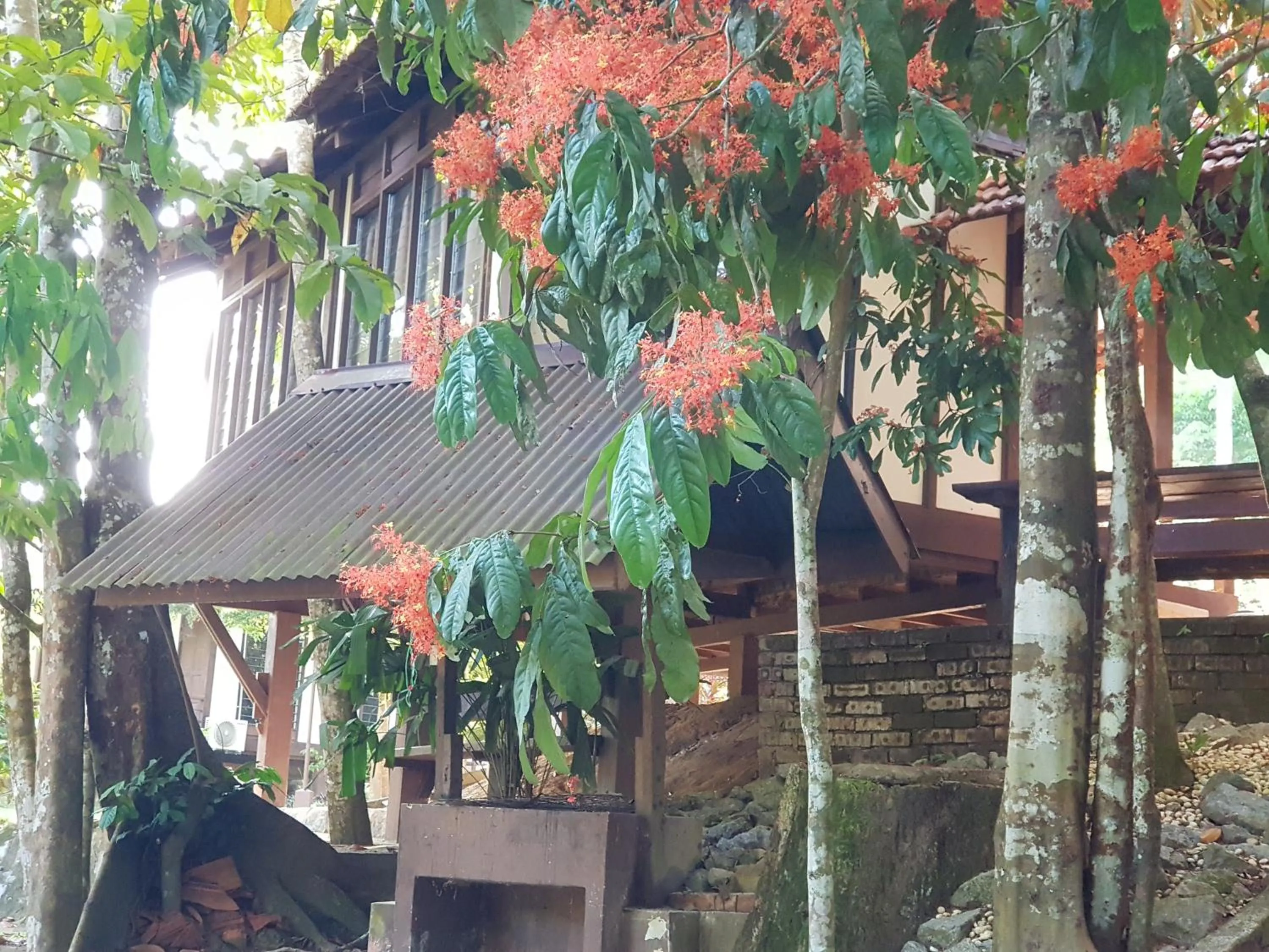 Spring in D'Impiana Riverview Chalet # Lenggong