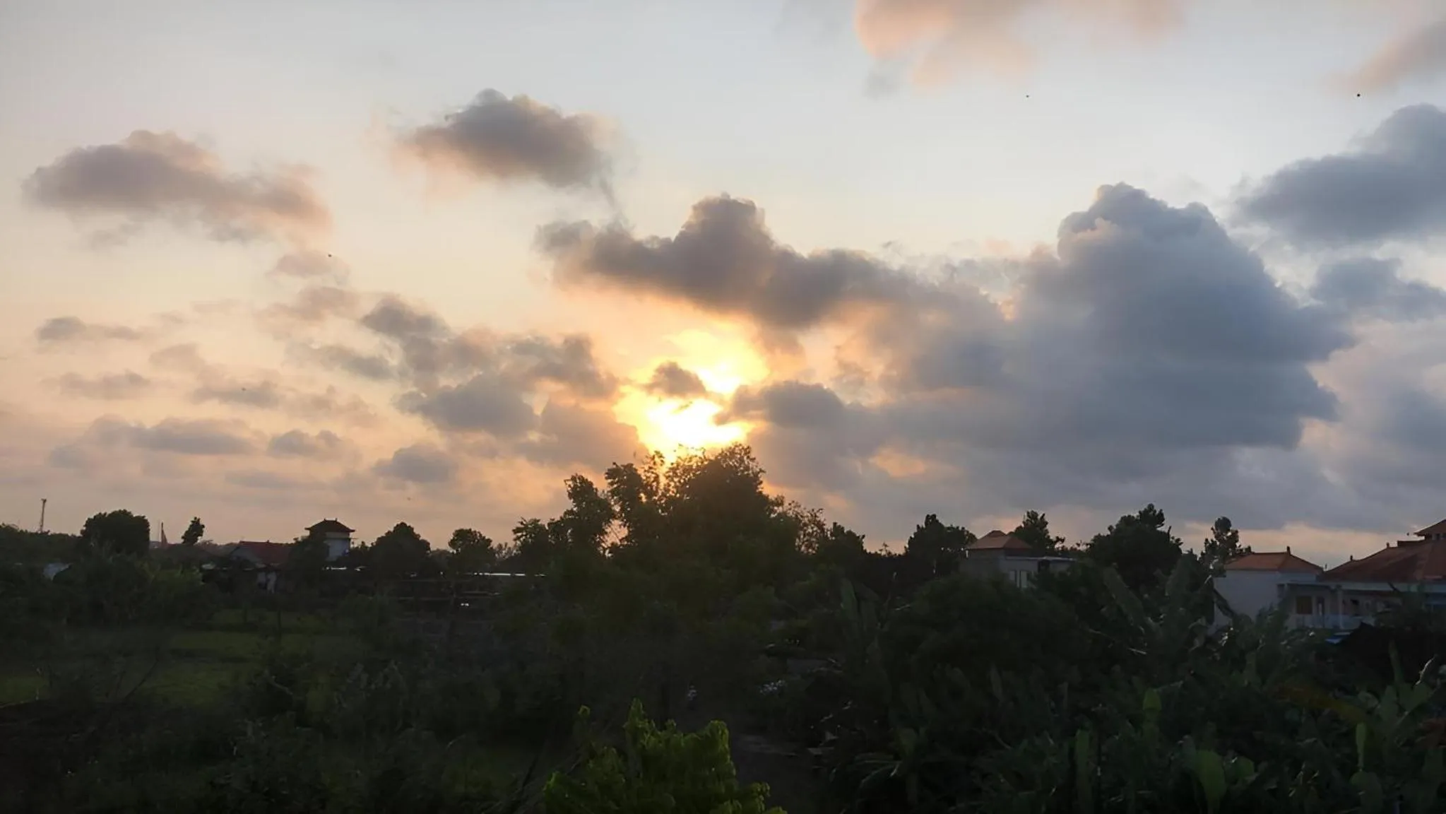 View (from property/room) in Hotel Arda Bali