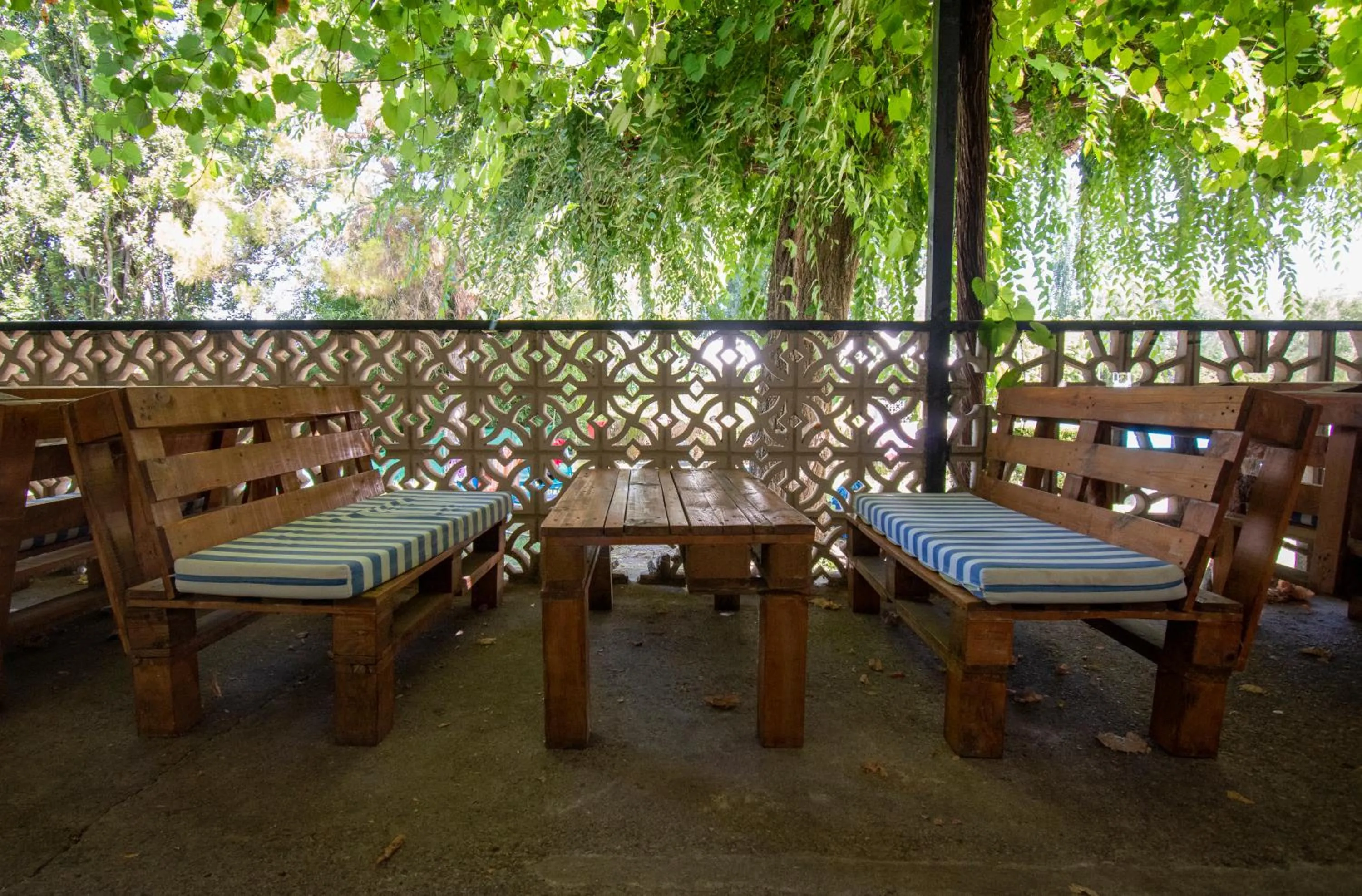 Swimming pool in Hotel del Carmen