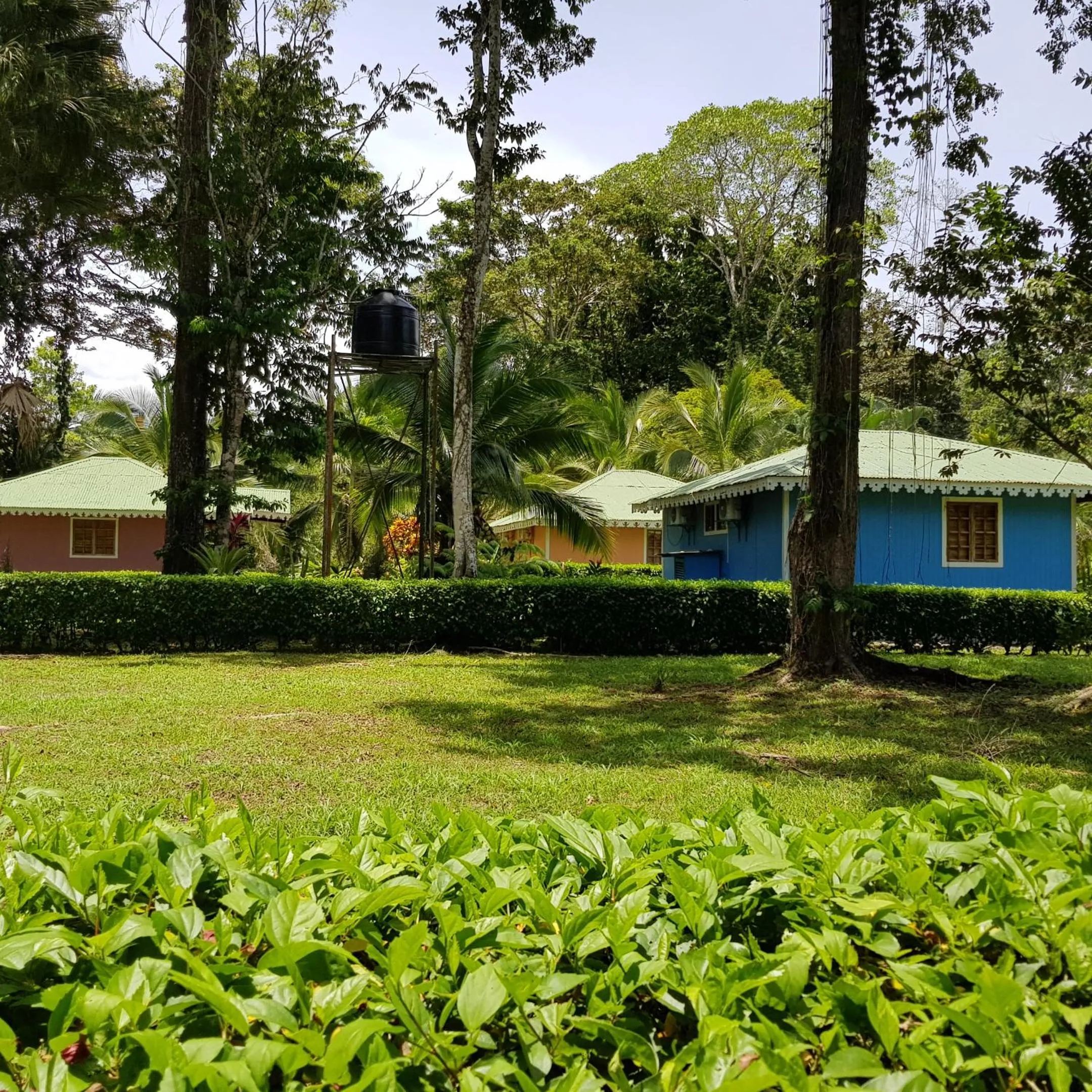 Garden in Ciudad Perdida EcoLodge