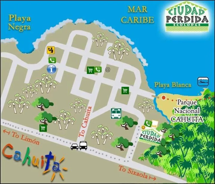 Bird's eye view in Ciudad Perdida EcoLodge