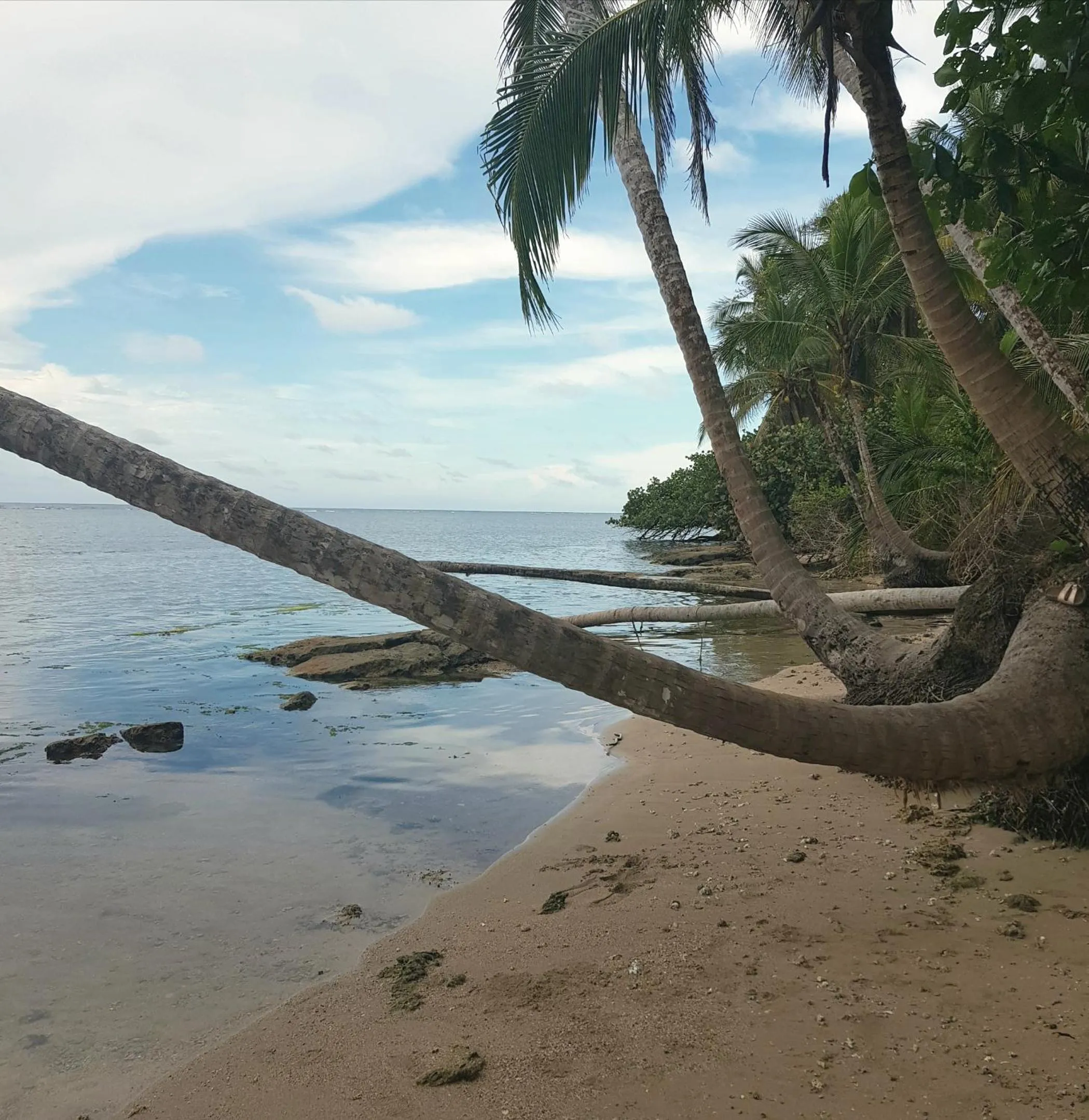 Activities in Ciudad Perdida EcoLodge