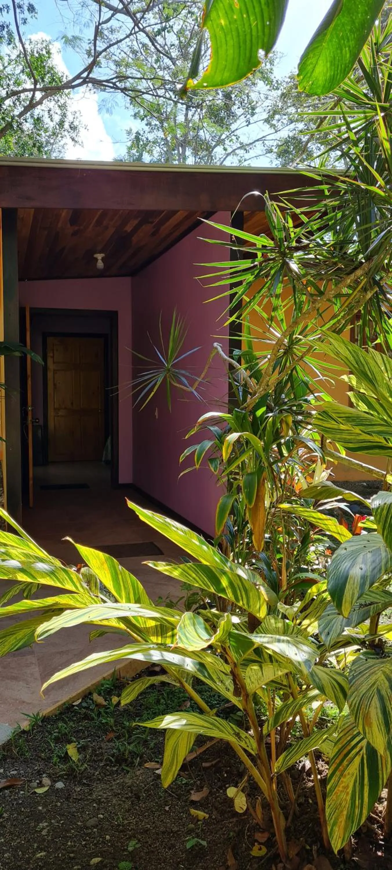 Garden in Ciudad Perdida EcoLodge