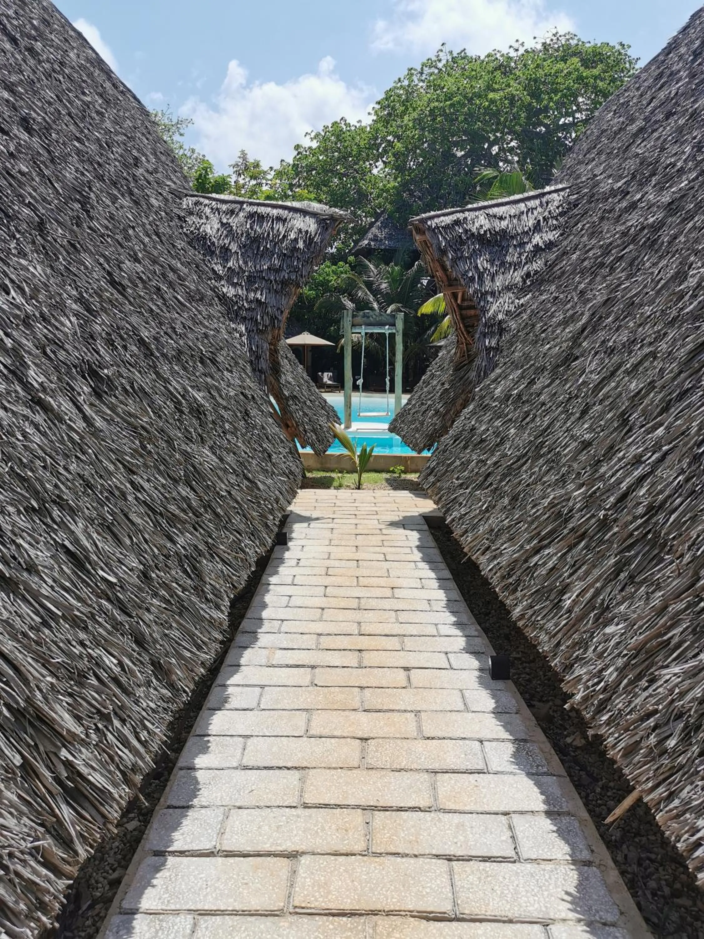 View (from property/room) in Baobab Africa Lodge Zanzibar
