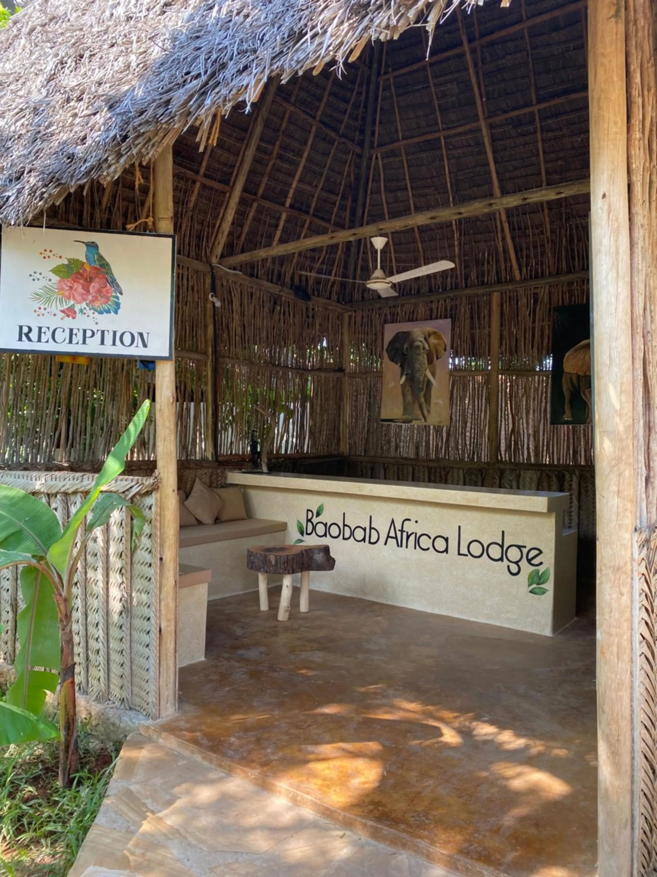 Lobby or reception in Baobab Africa Lodge Zanzibar