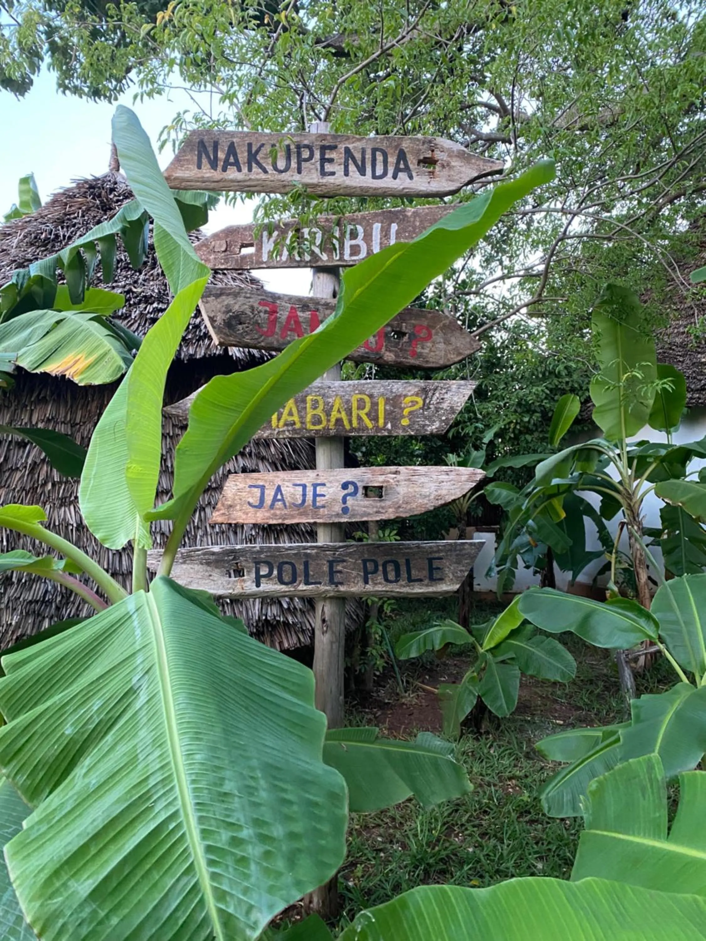 Day in Baobab Africa Lodge Zanzibar