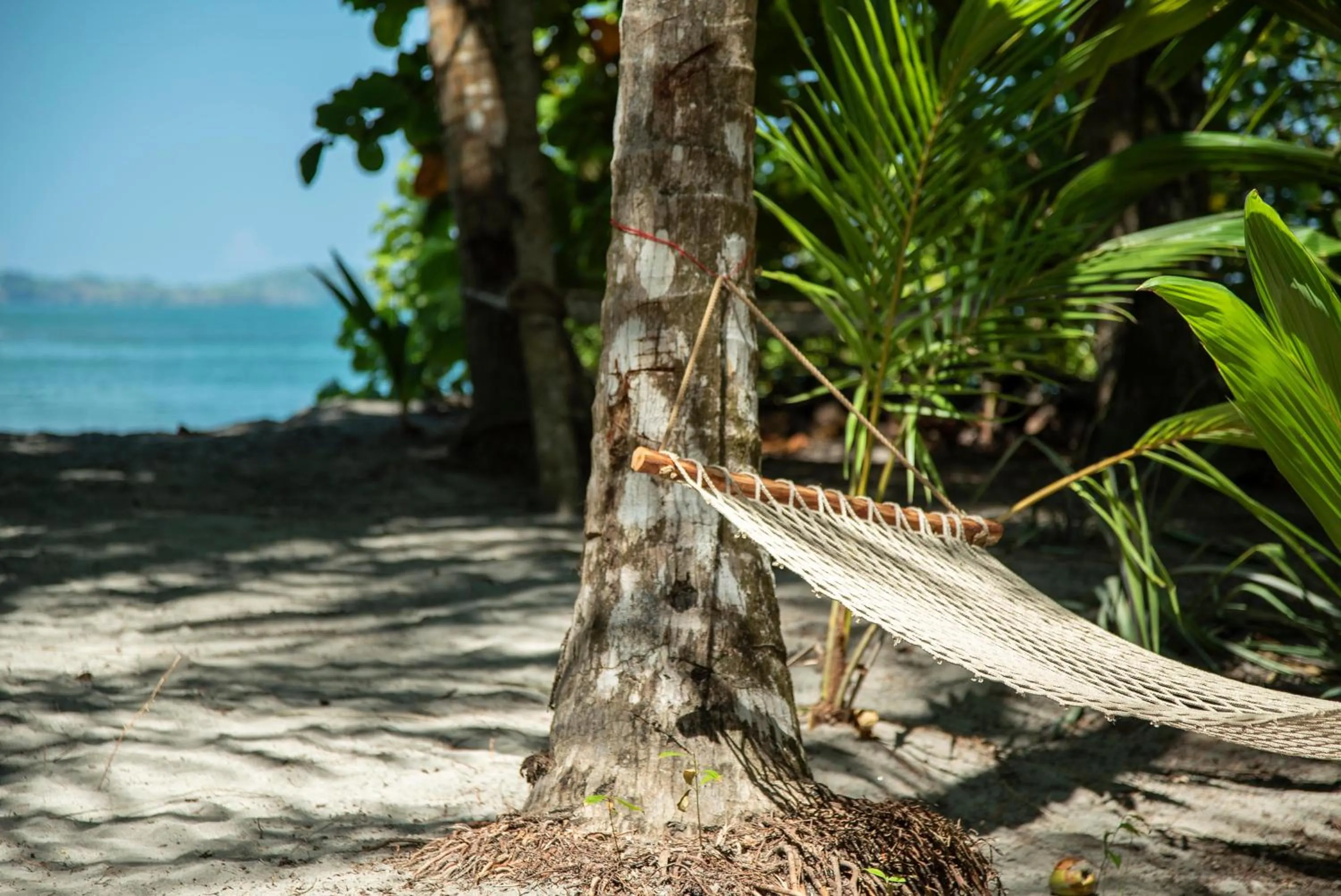 Beach in The Resort at Isla Palenque Member of the Cayuga Collection