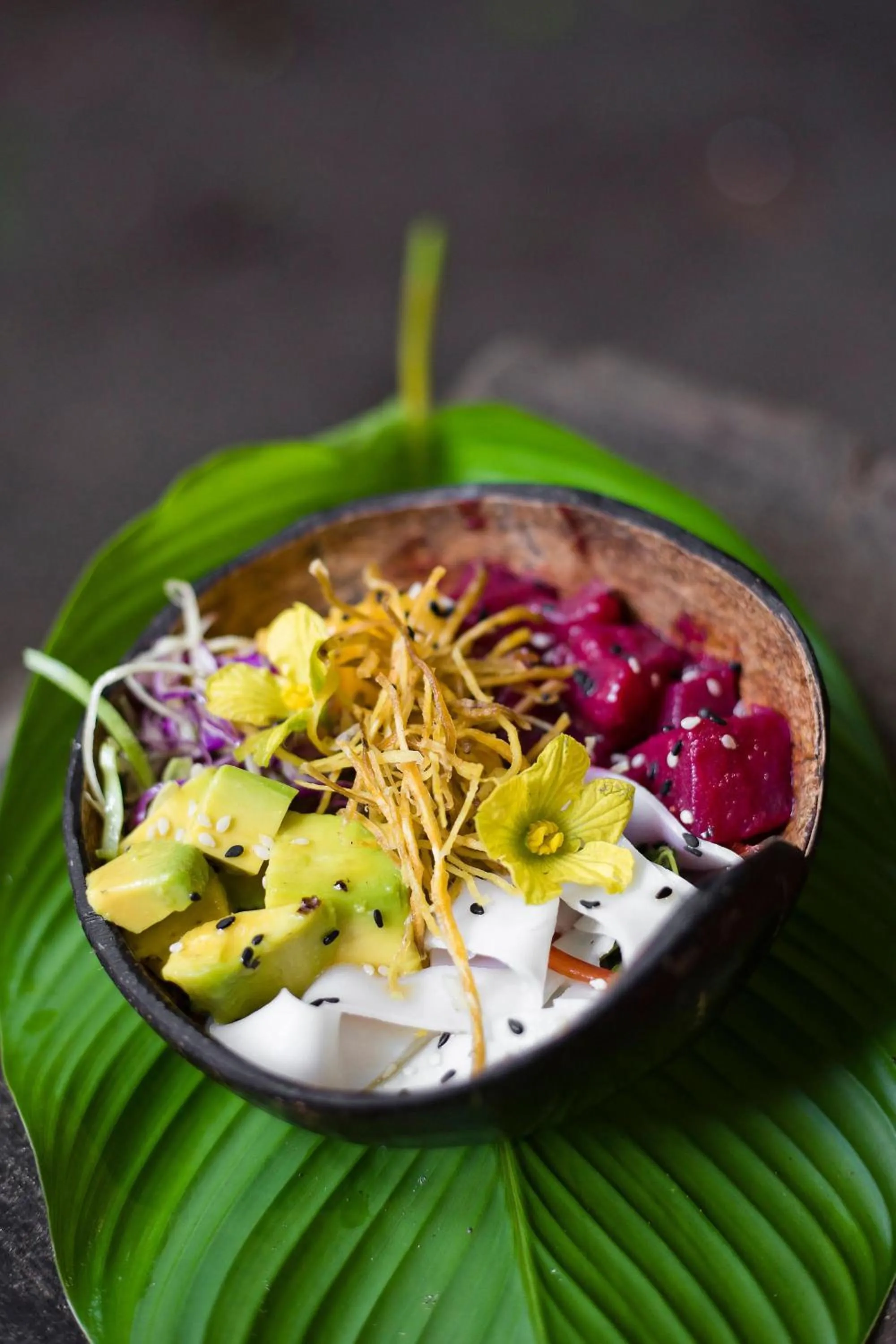 Restaurant/places to eat in The Resort at Isla Palenque Member of the Cayuga Collection